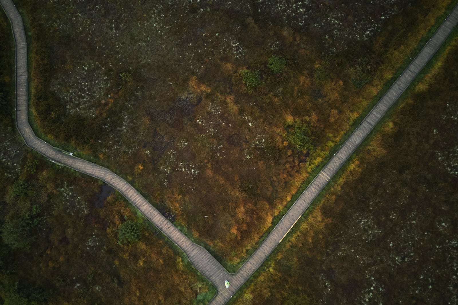 A boardwalk is seen from above in the Clara Bog Nature Preserve, in Clara, Ireland, Wednesday, Oct. 16, 2024. (AP Photo/Bram Janssen)