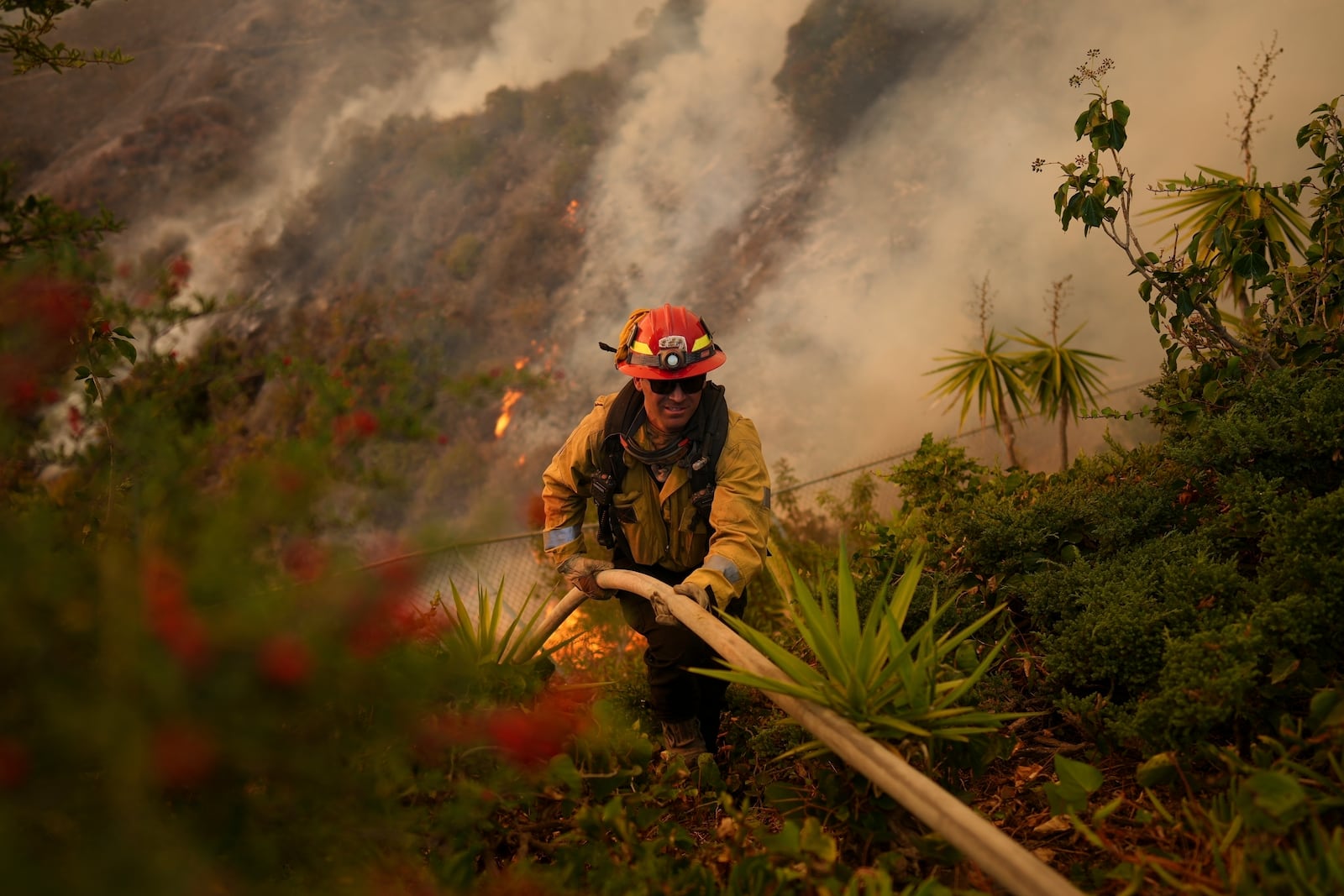 FILE - A firefighter sets up a hose while fighting the Palisades Fire in Mandeville Canyon on Jan. 11, 2025, in Los Angeles. (AP Photo/Eric Thayer, File)