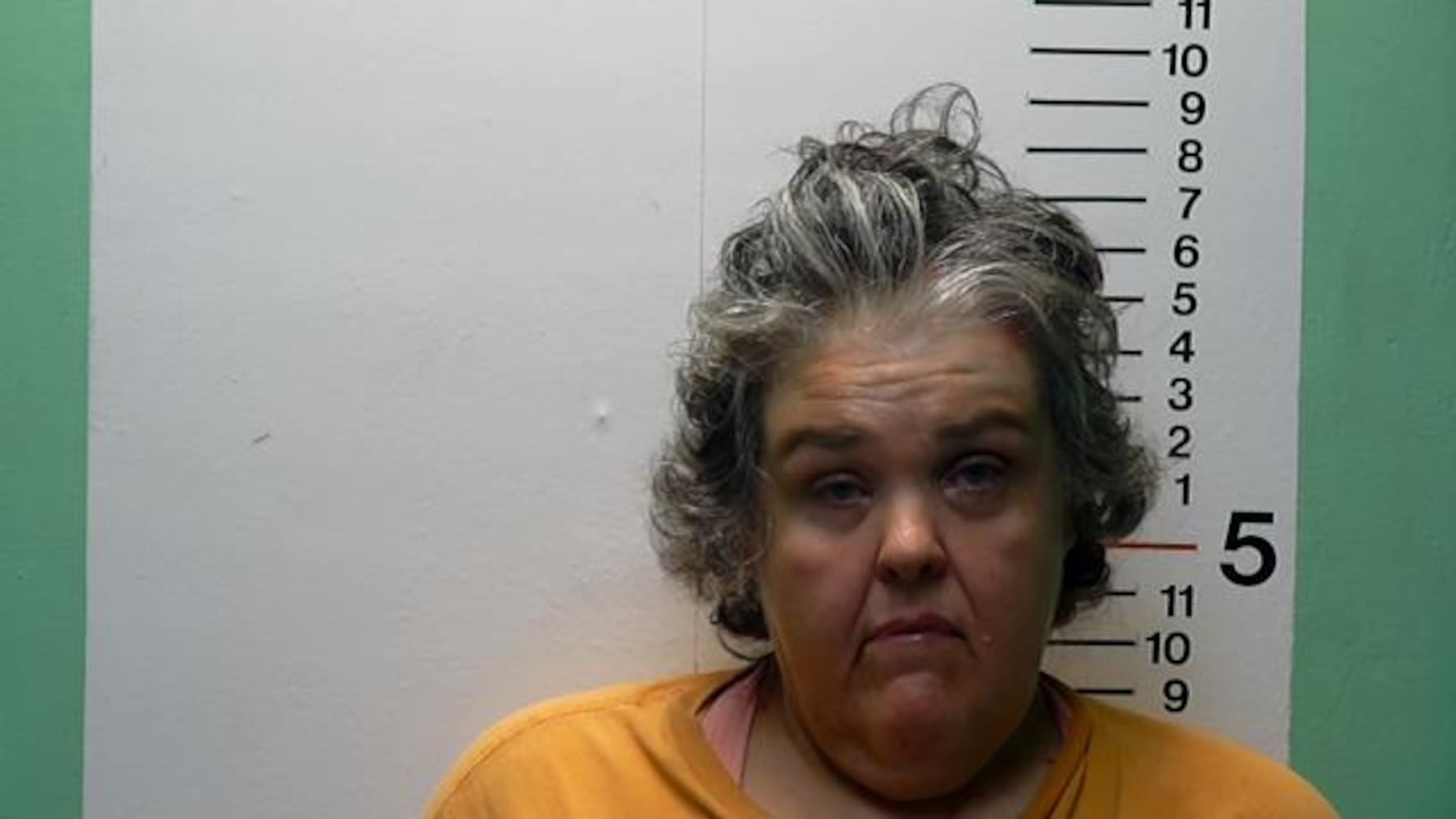 Woman charged with killing sisiter