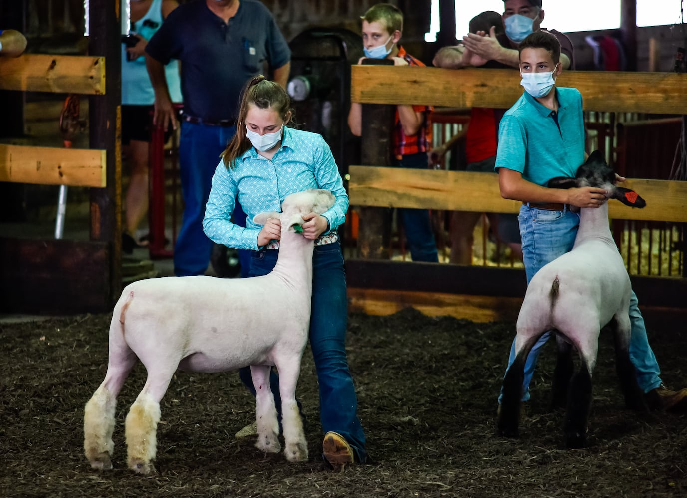 Butler County Fair 2020