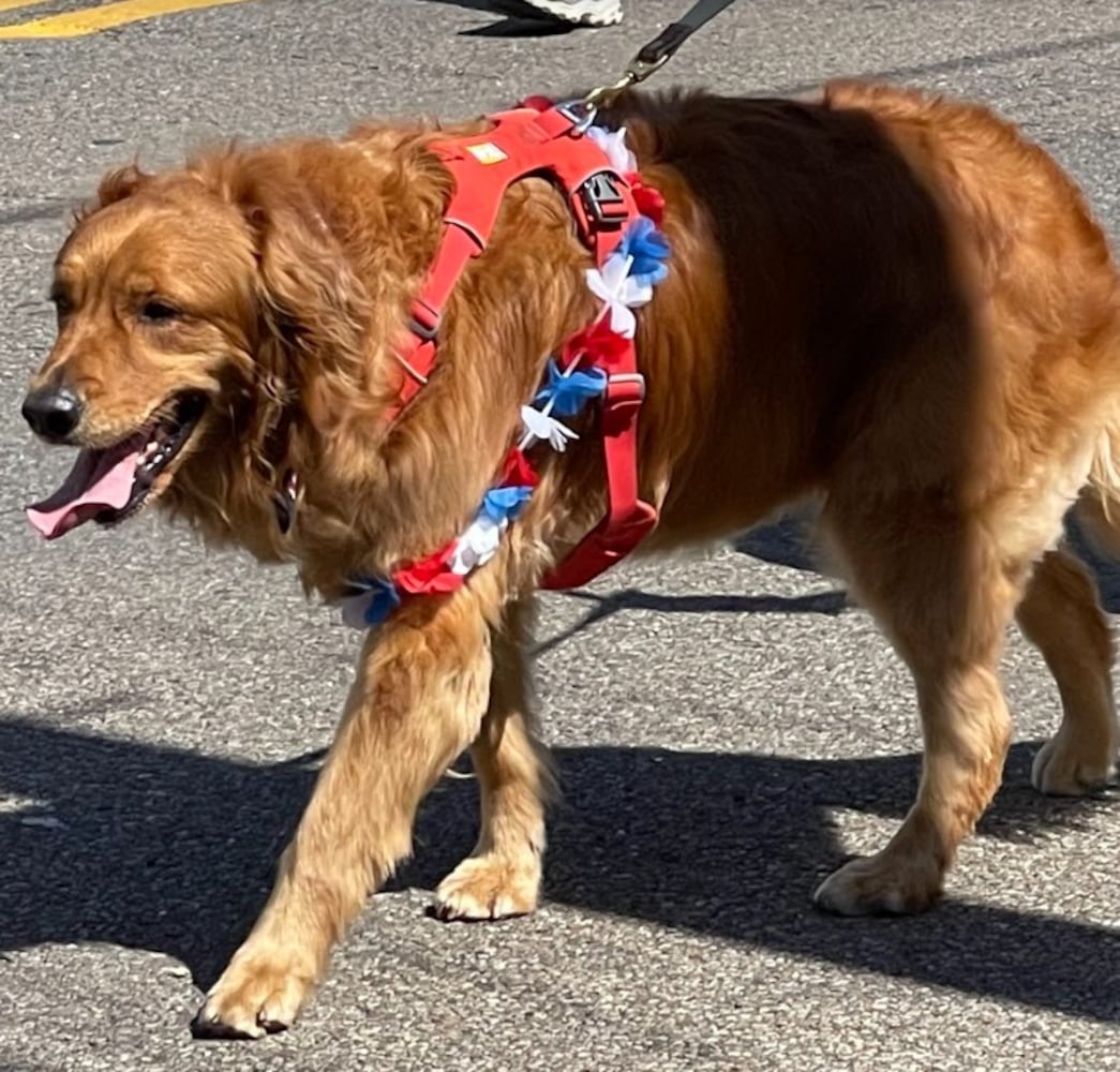 Hamilton 4th of July Parade 2022