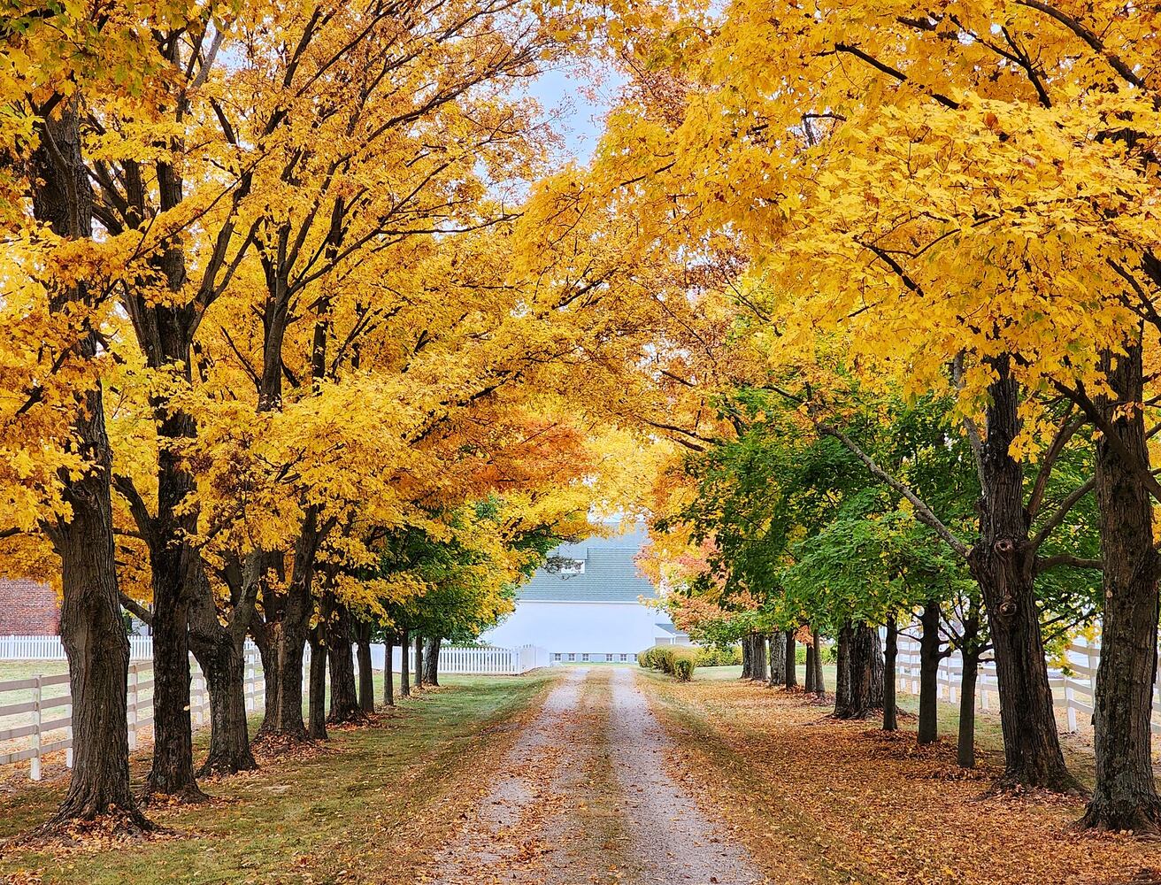 102622 fall colors Butler County