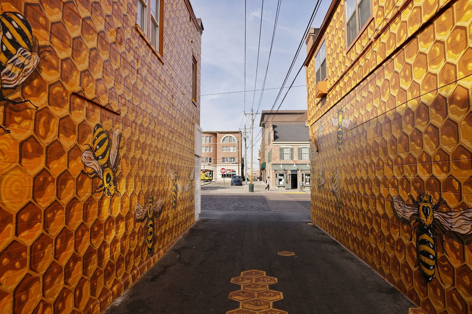 Local artist, Joe Prescher, has created the Oxford Hive mural that looks like a bee hive in the alley at 23 E. High St. (by Mac & Joe's) in Oxford. NICK GRAHAM/STAFF