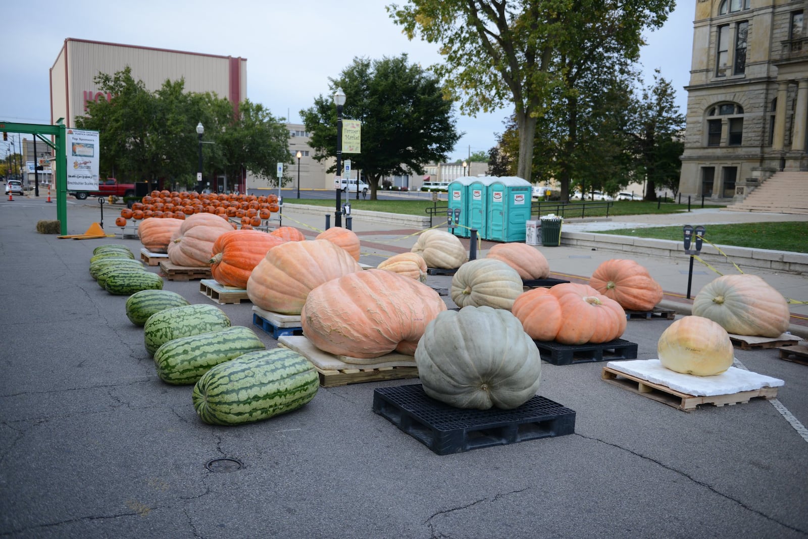 In its sixth year, Operation Pumpkin will return to downtown Hamilton on Friday, October 13 through Sunday, October 15. The annual festival will feature its first sculpting competition as well as a sanctioned, giant pumpkin weigh-off, decorated pumpkins, a Lil Miss Punkin contest, a pet parade, amusement rides, and live entertainment all weekend. CONTRIBUTED PHOTOS