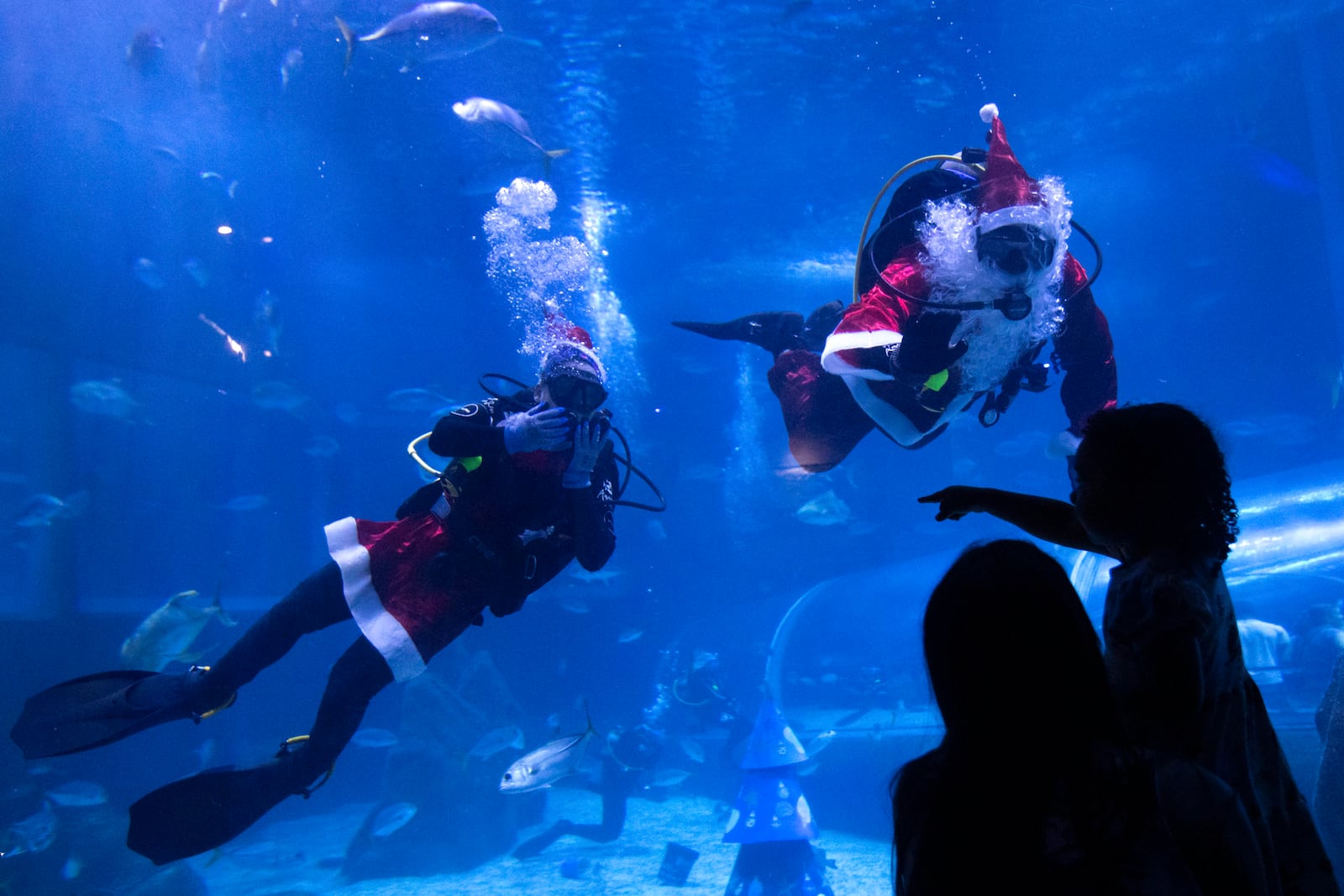 Divers dressed as Mother Christmas and Santa Claus, swim inside a tank at the AquaRio Marine Aquarium as part of an annual Christmas tradition, in Rio de Janeiro, Saturday, Dec. 21, 2024. (AP Photo/ Bruna Prado)