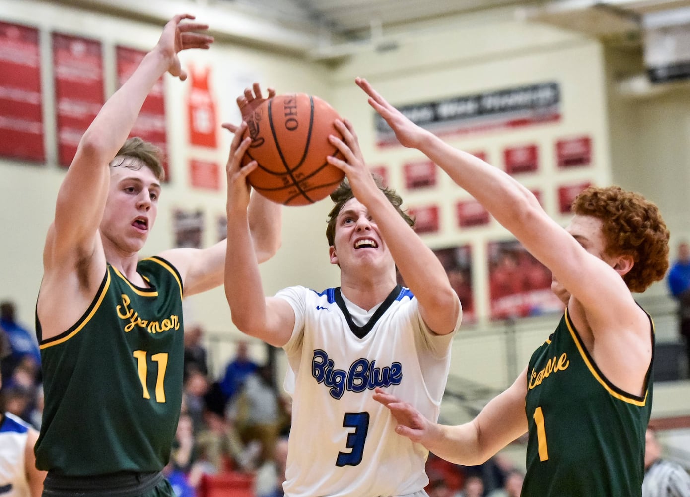 Hamilton vs Sycamore sectional basketball