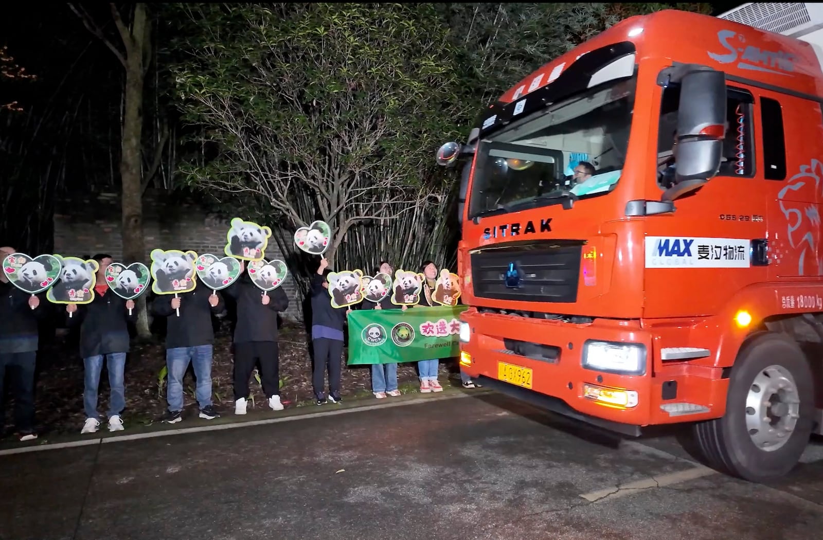 In this image taken from video and released by China's National Forestry and Grassland Administration, workers send off the pair of giant pandas Bao Li and Qing Bao from the Dujiangyan Base of the China Conservation and Research Center for the Giant Panda in southwestern China's Sichuan province on Monday, Oct. 14, 2024. (Jin Tao/China's National Forestry and Grassland Administration via AP)