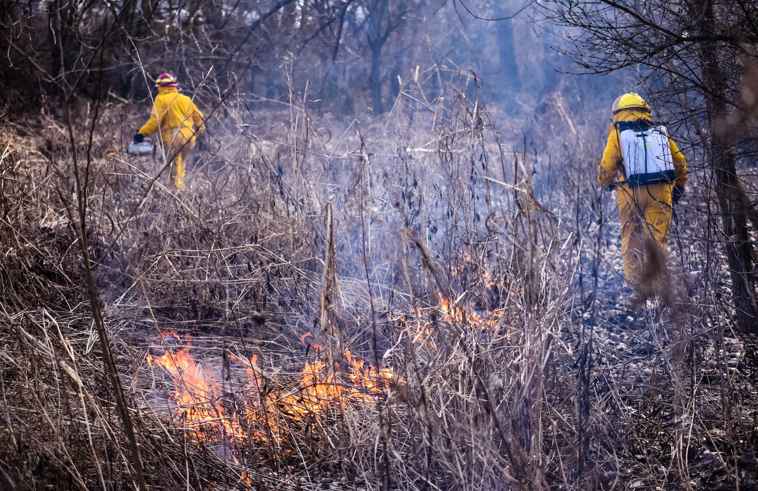 Controlled burns at Riverside Natural Area in Hamilton