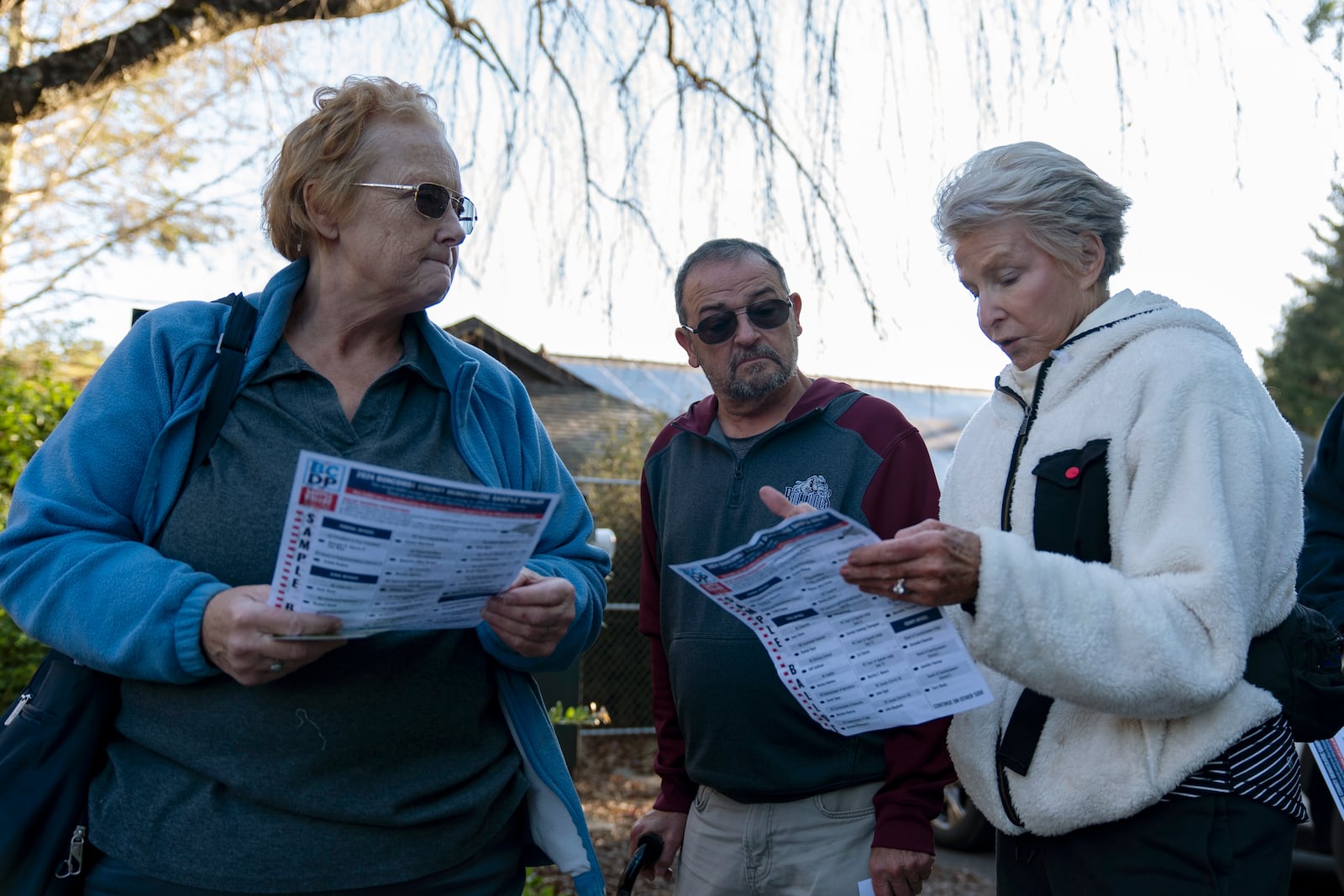 Voters discuss sample ballots while waiting in line to cast their early in-person vote, Thursday, Oct. 17, 2024, in Asheville, N.C. (AP Photo/Stephanie Scarbrough)