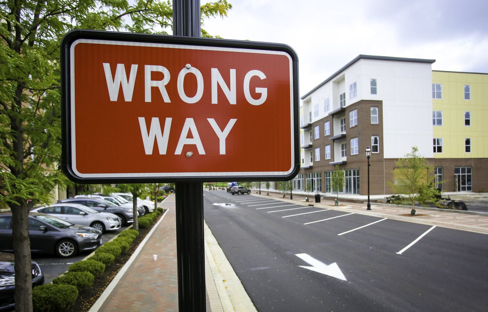 Back-in parking at The Marcum is safer for pedestrians and vehicles, officials say. 