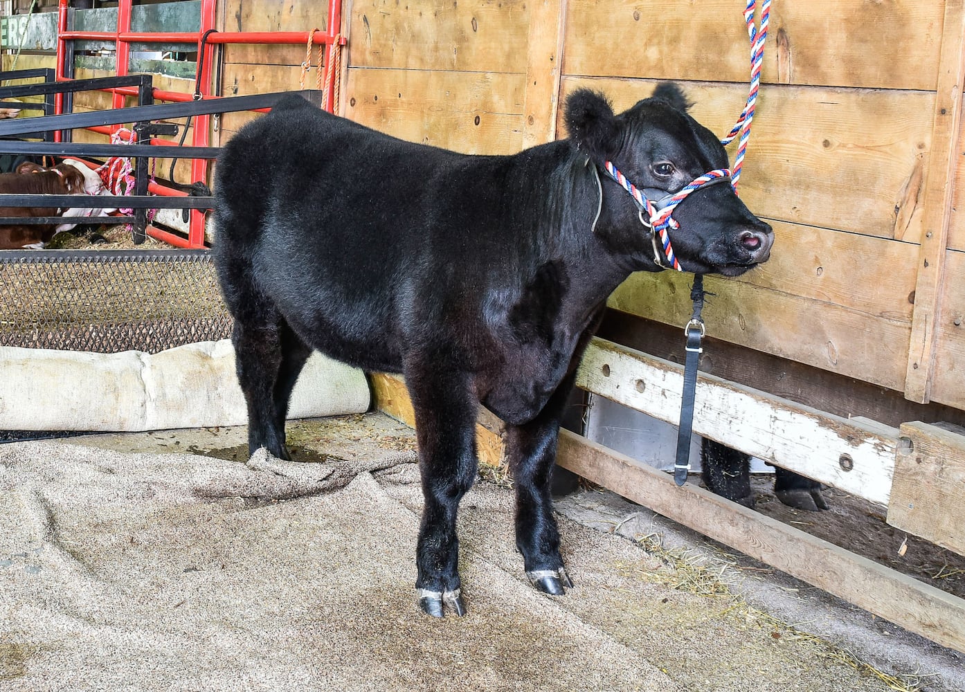 Butler County Fair 2018