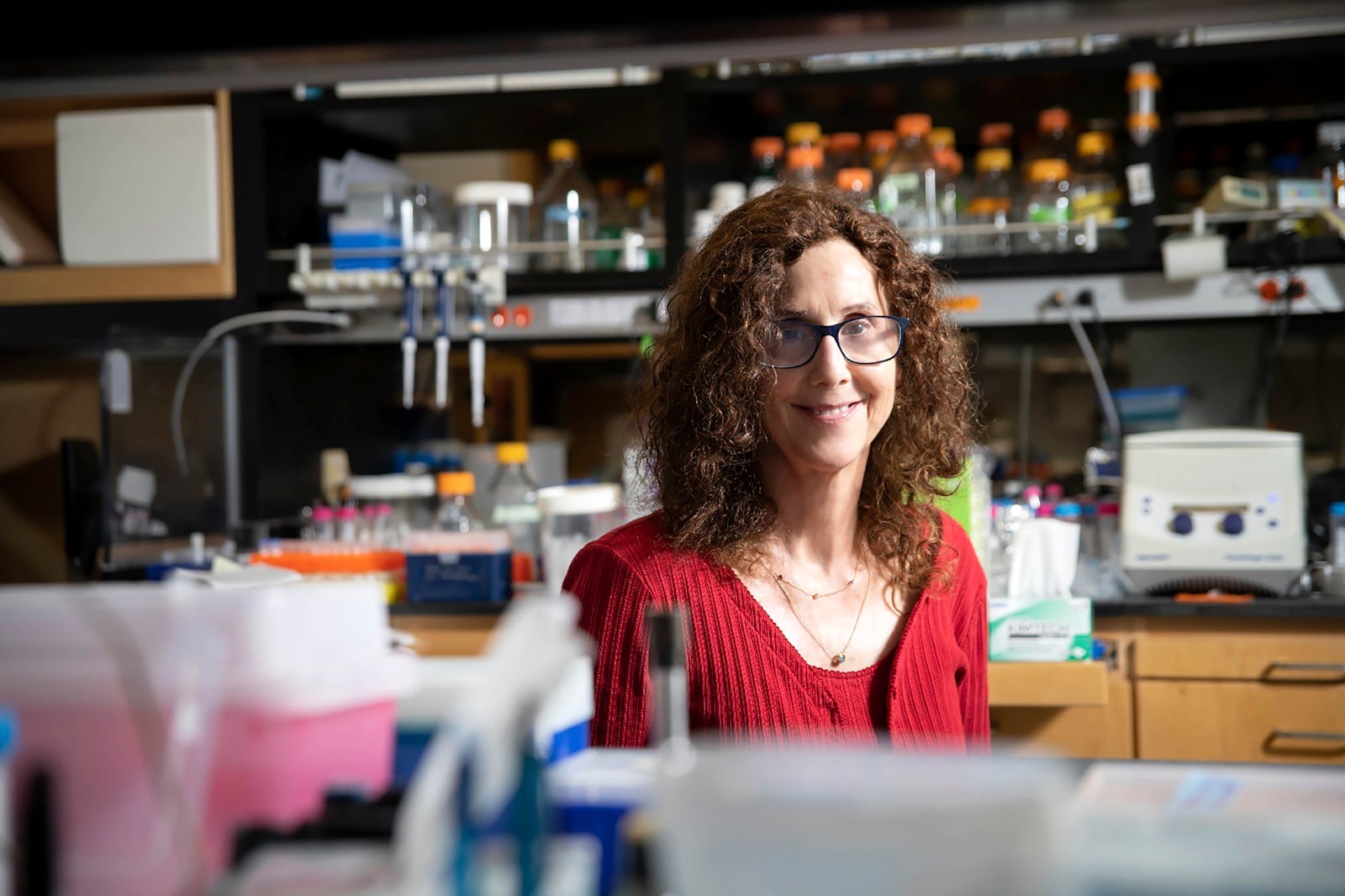 This image provided by the Wolf Foundation shows Pamela Björkman of the California Institute of Technology, who won this year's prestigious Wolf Award for her research into treating coronavirus and HIV. (Wolf Foundation via AP)