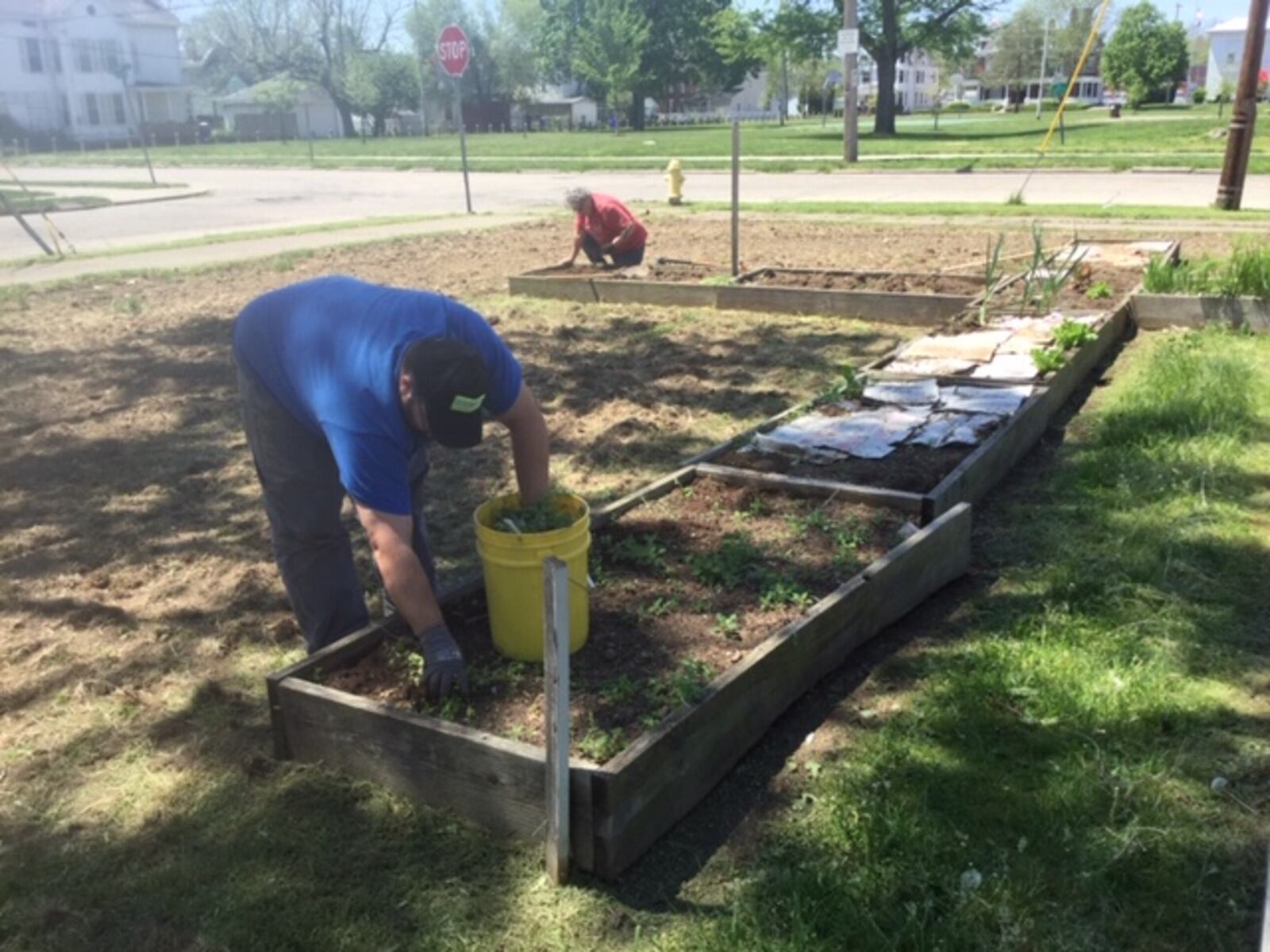 Volunteers in Hamilton recently worked on a pollinator garden in the city, to help butterflies, hummingbirds and other animals. PROVIDED