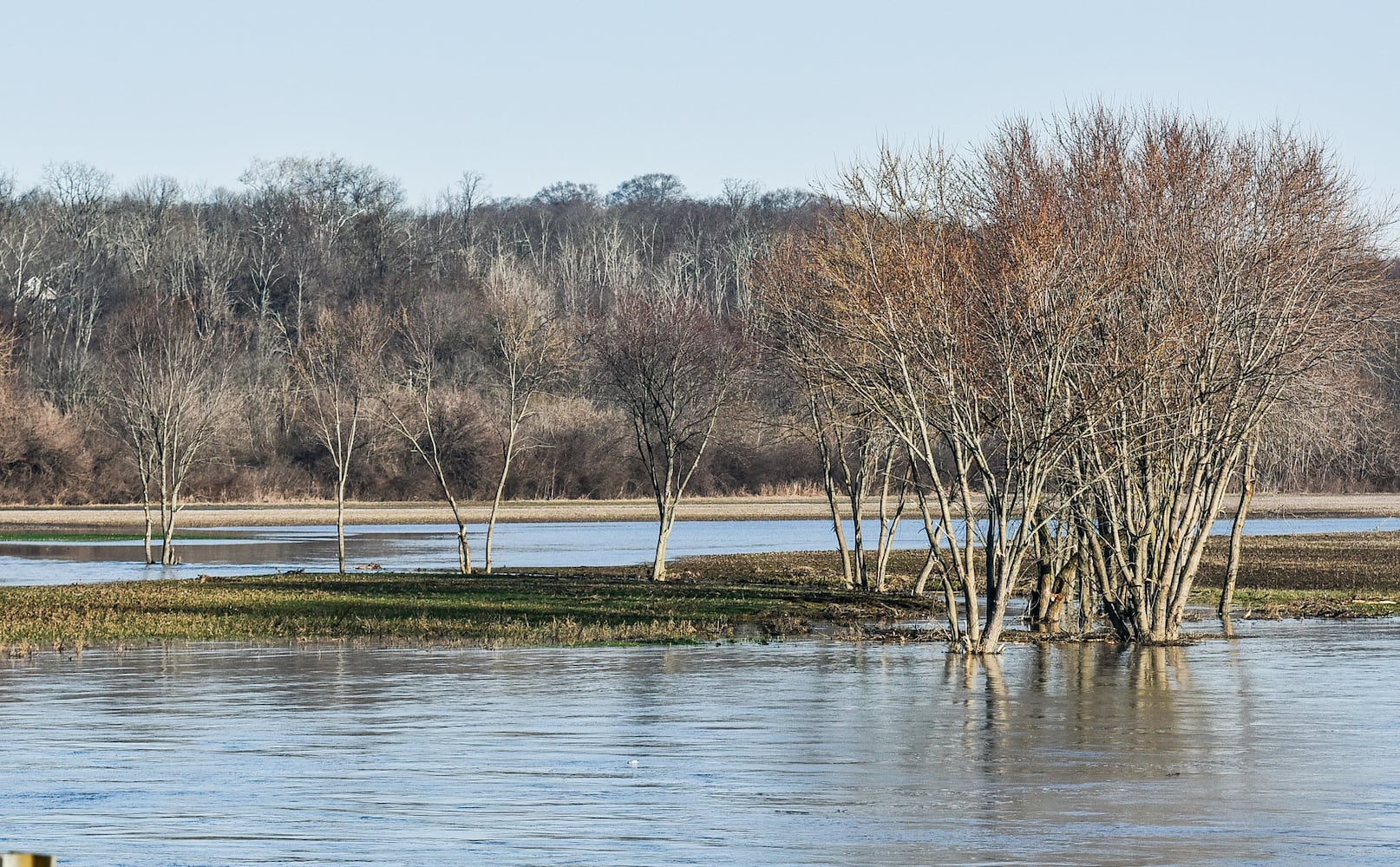 Middletown flooding