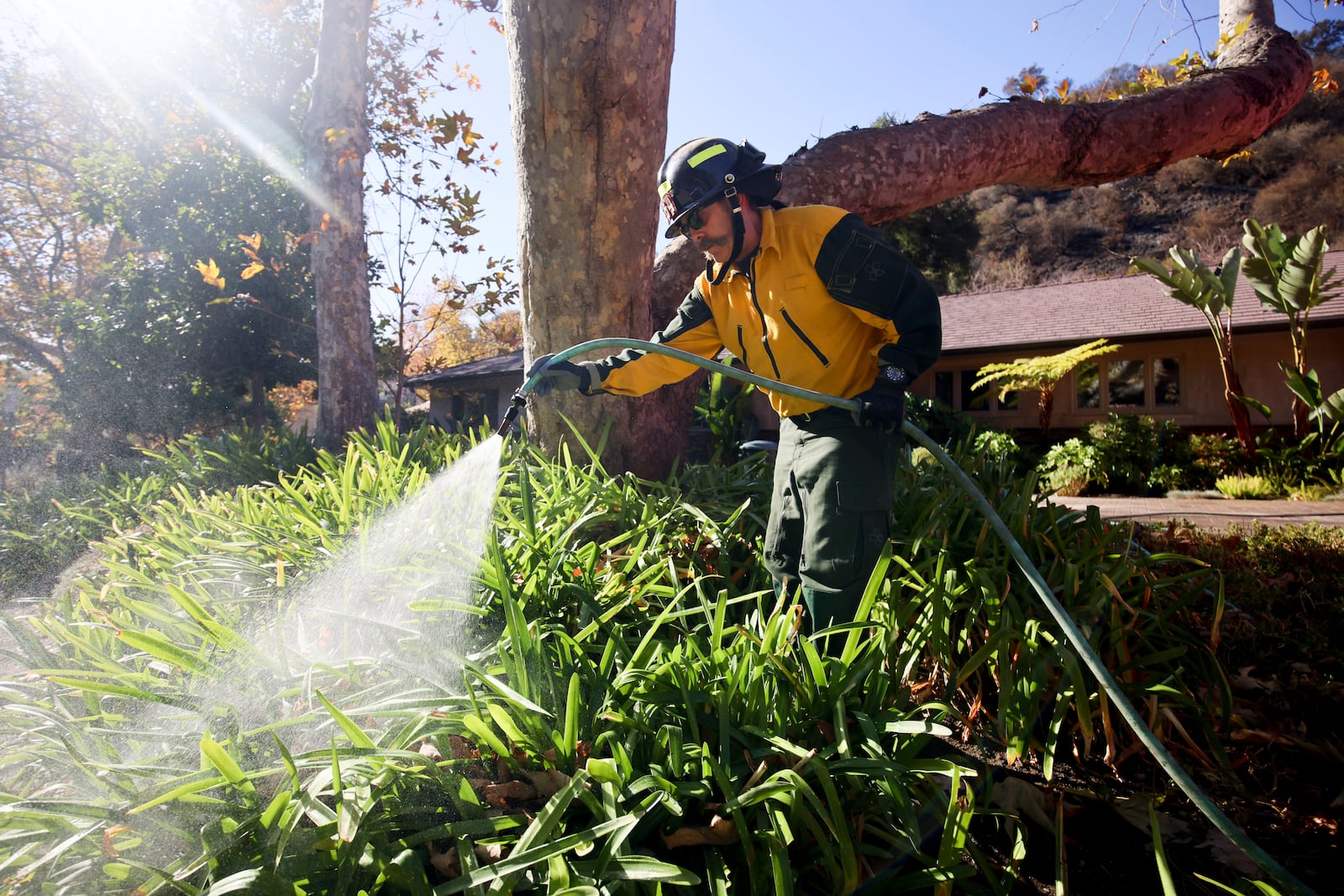 A firefighter hoses vegetation around a property while protecting structures from the Palisades Fire in Mandeville Canyon Tuesday, Jan. 14, 2025, in Los Angeles. (AP Photo/Ethan Swope)