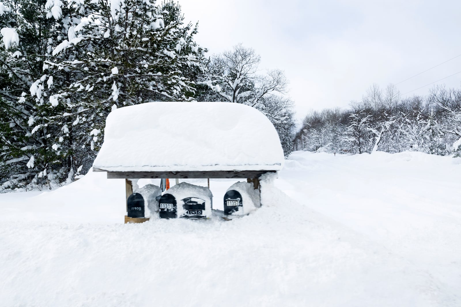 Mailboxes covered in snow in Antrim County, Mich. on Sunday, Dec. 1, 2024. (Joel Bissell/Kalamazoo Gazette via AP)