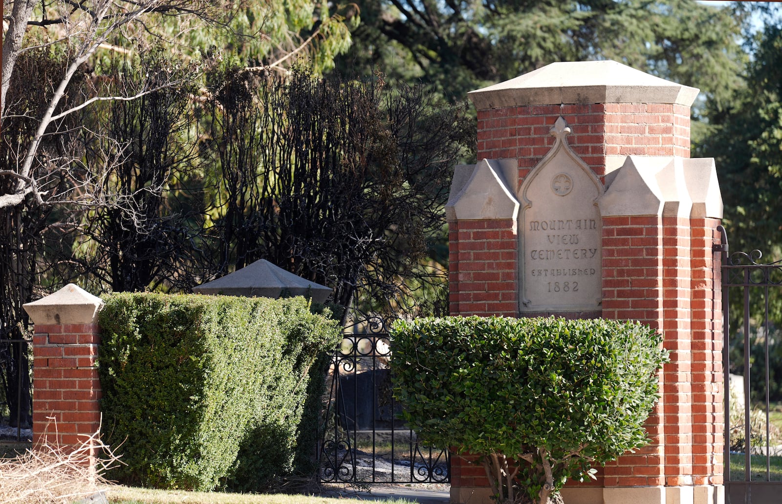 Singed brush is seen at right near the entrance gate to the closed Mountain View Cemetery, Tuesday, Jan. 14, 2025, in Altadena, Calif. (AP Photo/Chris Pizzello)