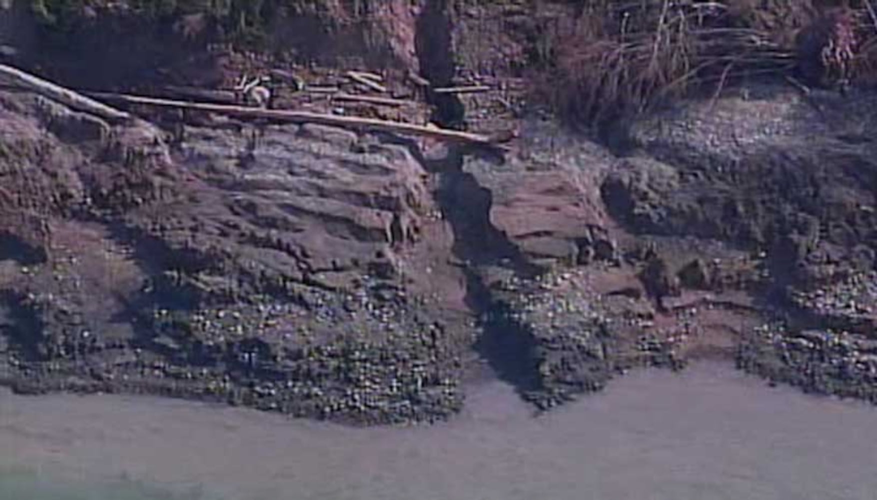 Whidbey Island homes threatened by landslide