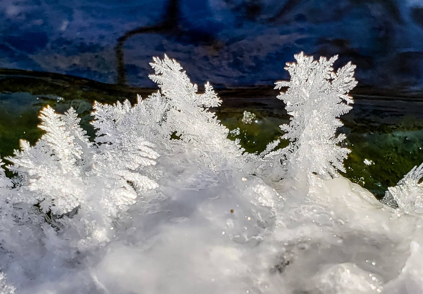 PHOTOS: 23 images that show winter weather has pounced on Butler County this month