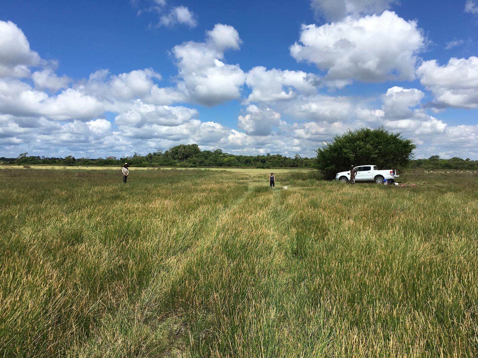 This 2019 photo provided by the Belize River East Archaeology project shows investigations of wetland canal features in the CTWS by the research team in Belize. (Belize River East Archaeology project via AP)