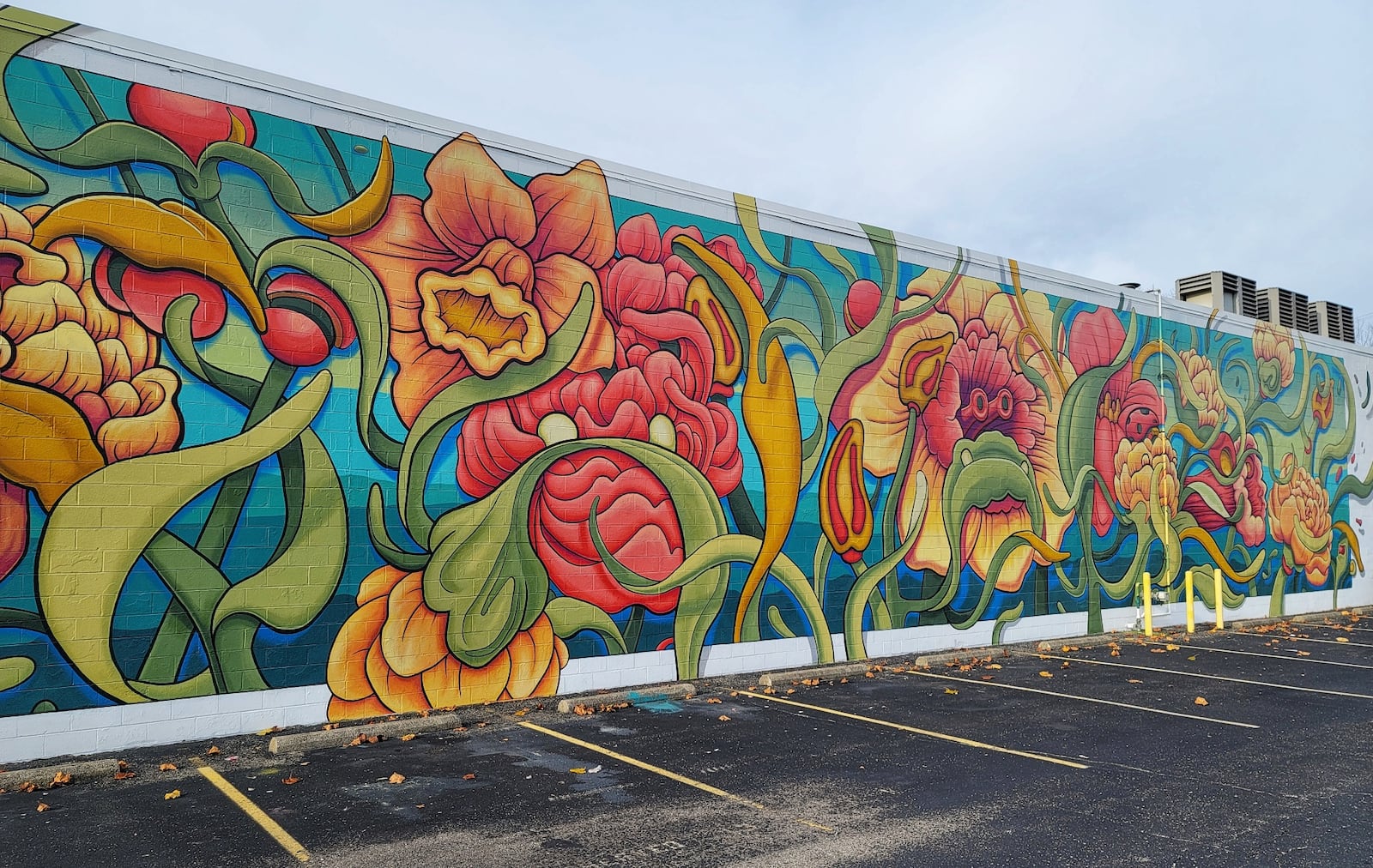 This 3,400 square-foot mural, entitled "Garden of Dogs," recently was completed on the side of the Elite Performance and Wellness building, 190 N. Brookwood Ave. The mural cost about $50,000. NICK GRAHAM/STAFF