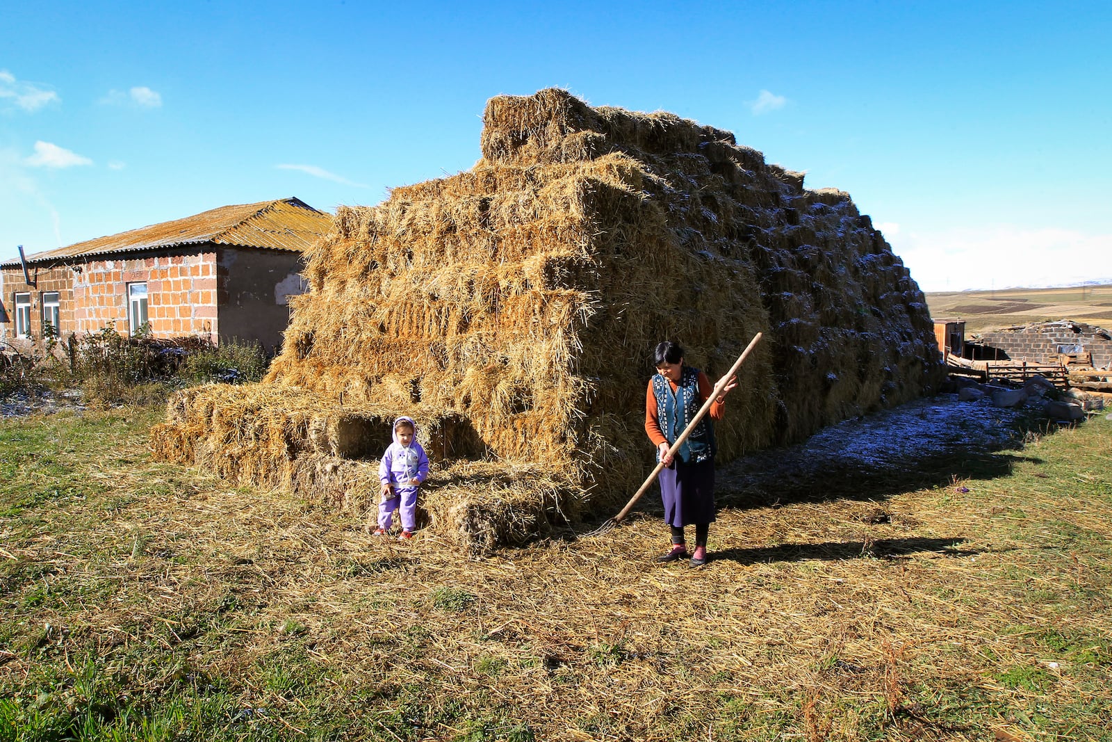 Rimma Agayan works at her home in the Javakheti region, Georgia, Tuesday, Oct. 22, 2024. (AP Photo/Shakh Aivazov)