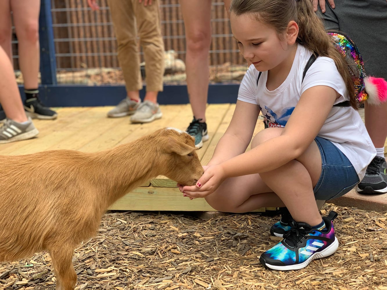 PHOTOS: Wild Hearts African Farm is a little slice of paradise