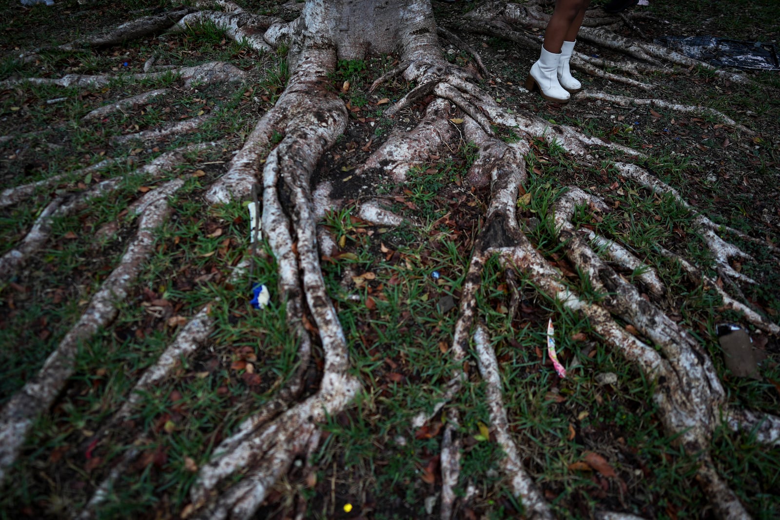 U.S.-born children play near a tree as their mothers, who are in the country illegally, meet with Nora Sandigo, who runs a non-profit dedicated to supporting immigrant families, to learn about their legal rights and options to prepare their families in case a parent were to be detained or deported, Friday, Jan. 17, 2025, in Homestead, Fla. (AP Photo/Rebecca Blackwell)