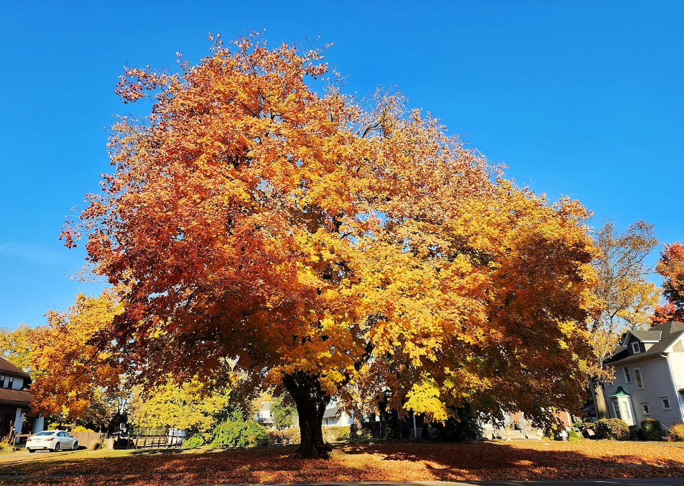 102622 fall colors Butler County