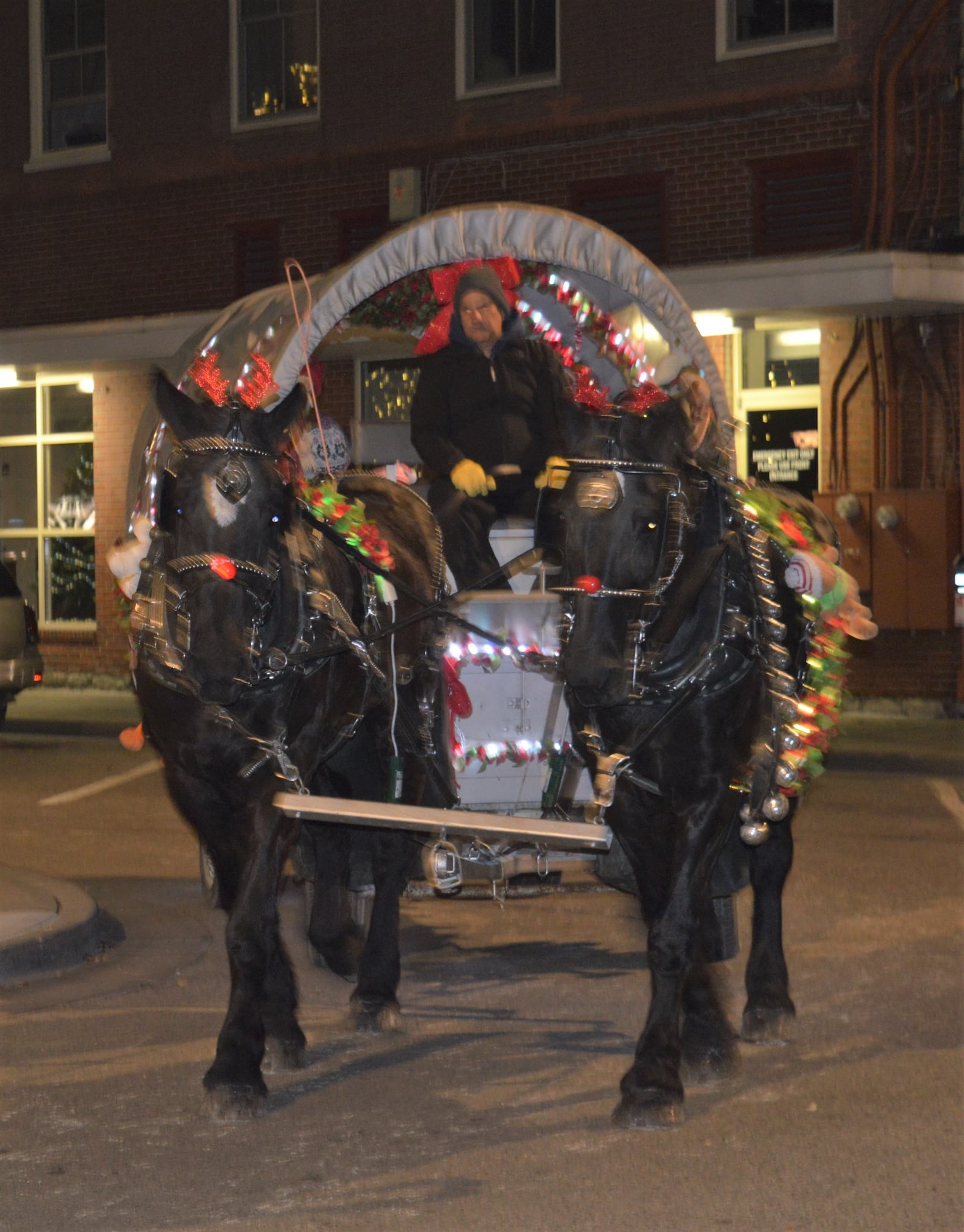 Horse-drawn wagon rides are always popular at the Holiday Festival and concluded a busy day for Robin and David Oda, of Ro-Da-O Farm, who provided the rides. CONTRIBUTED/BOB RATTERMAN