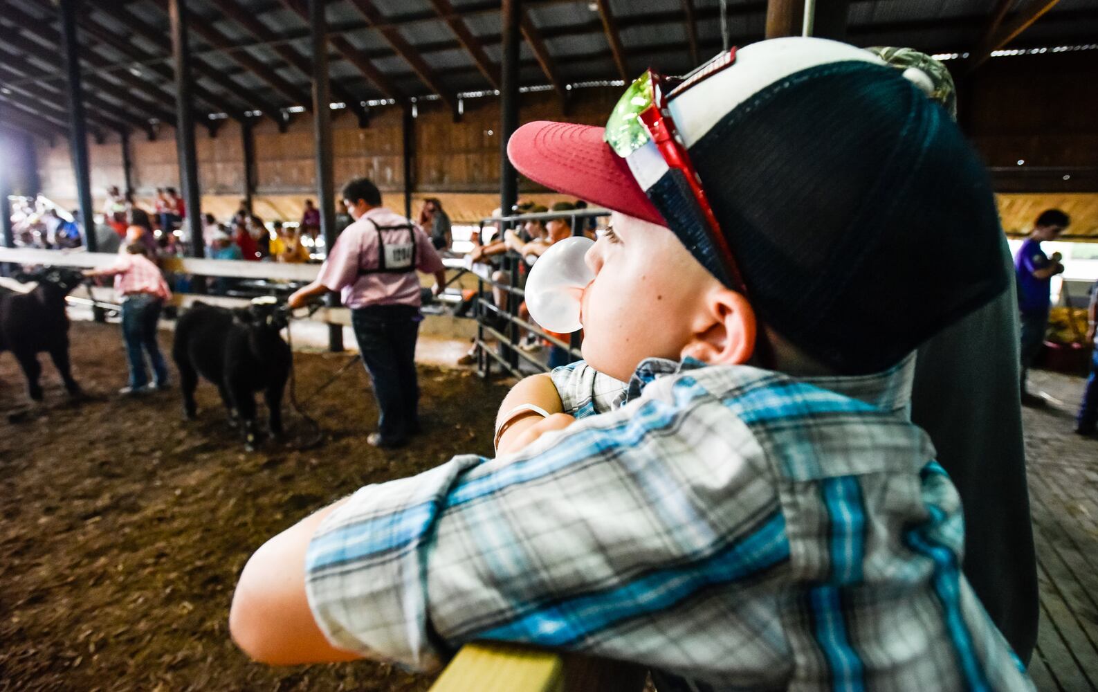 Scenes from the Butler County Fair 2019