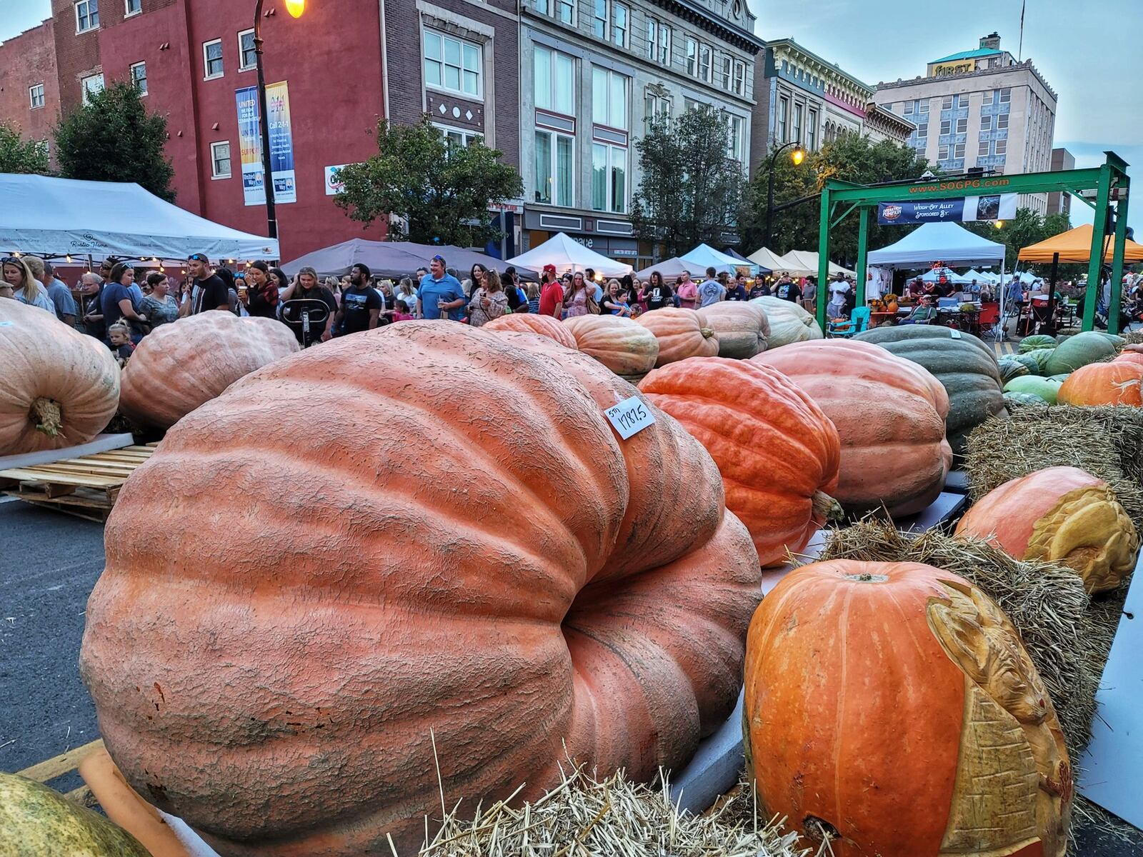 Numerous pumpkins were displayed Saturday during the 10th annual Operation Pumpkin in downtown Hamilton. NICK GRAHAM / STAFF