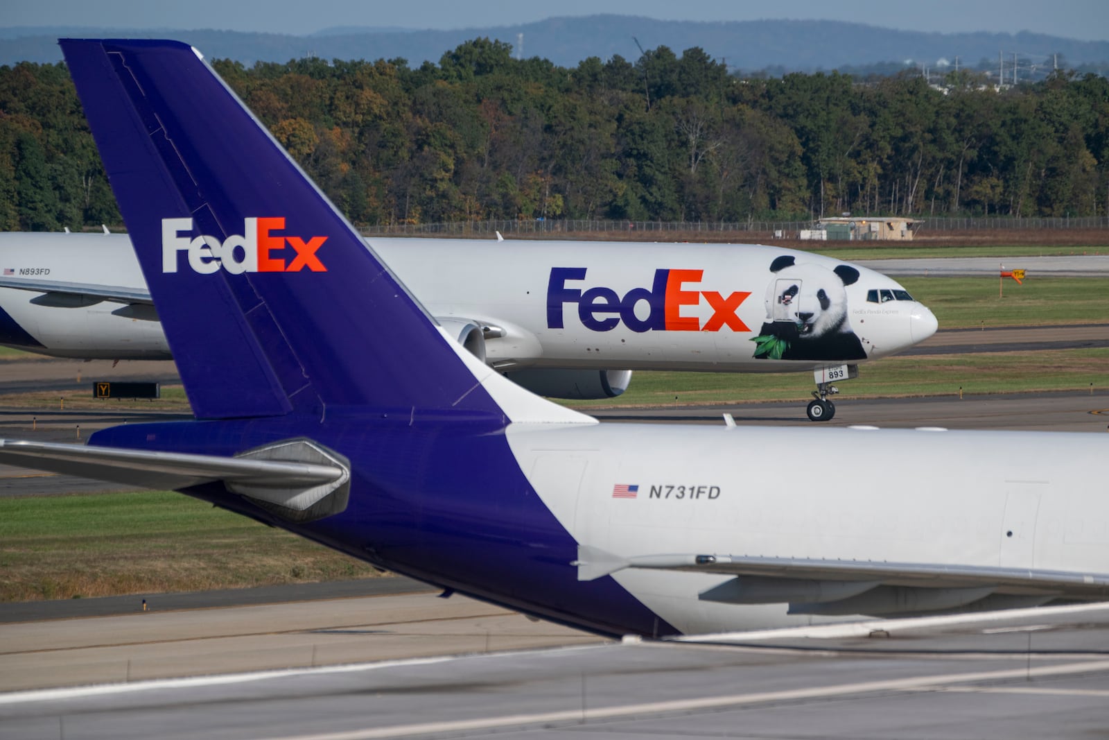 A FedEx cargo plane arrives at Dulles International Airport carrying giant pandas from China on Tuesday, Oct. 15, 2024 in Sterling, Va. (AP Photo/Kevin Wolf)