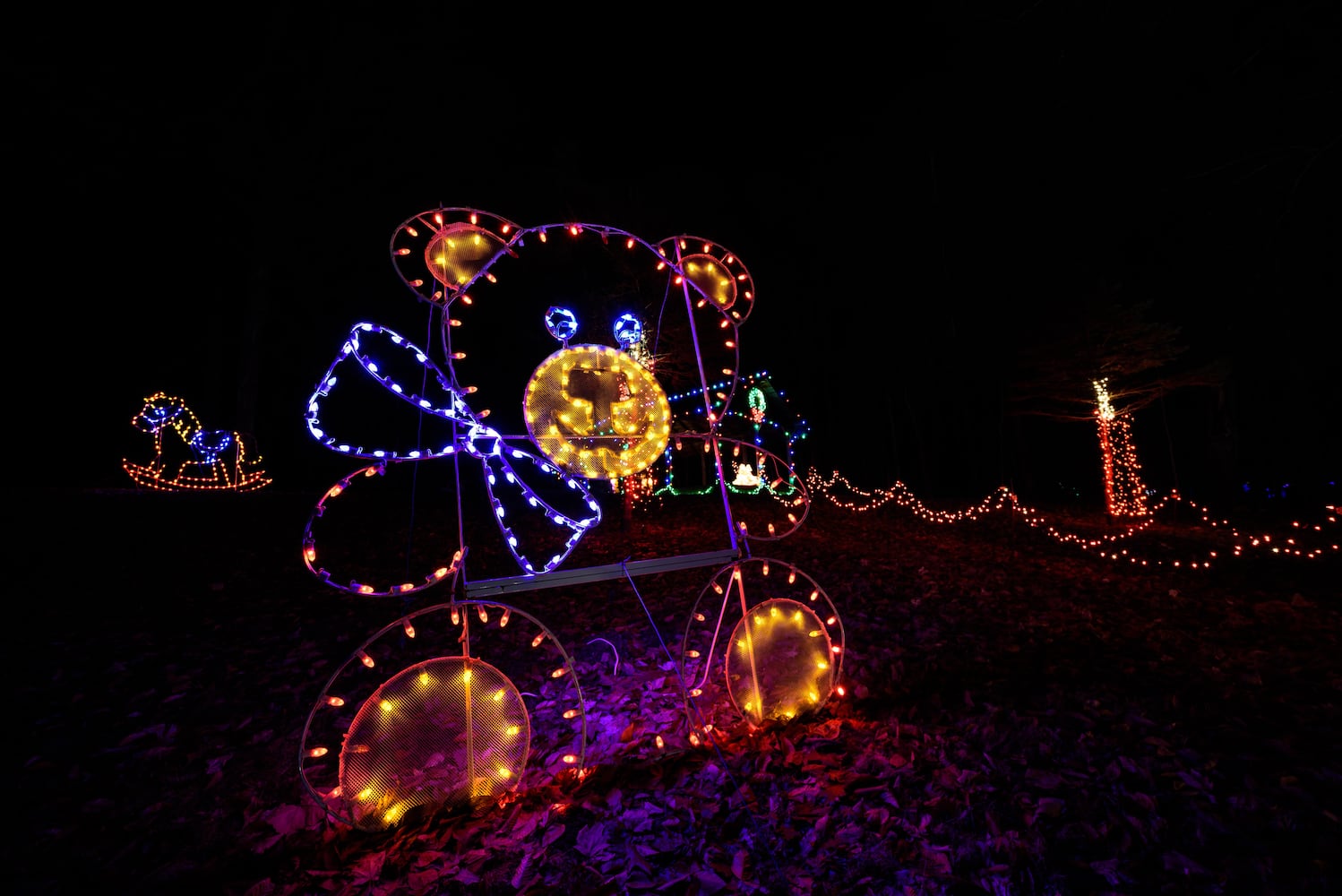 PHOTOS: Fort Saint Clair Whispering Christmas light display in Eaton