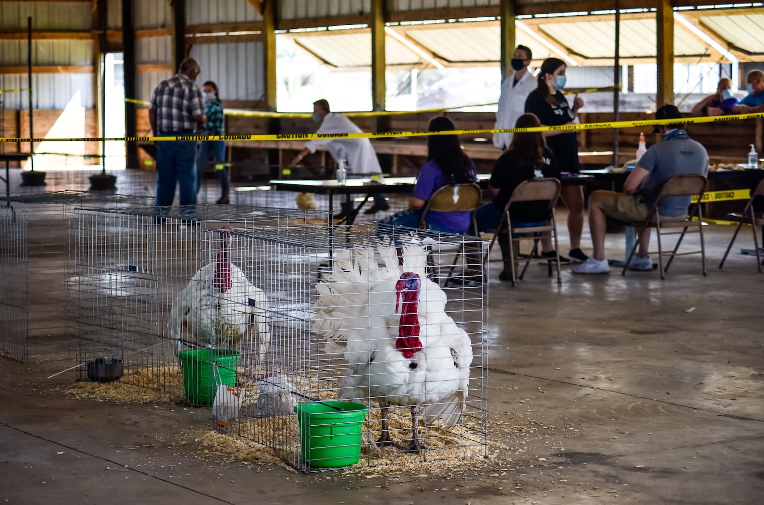 Butler County Fair 2020