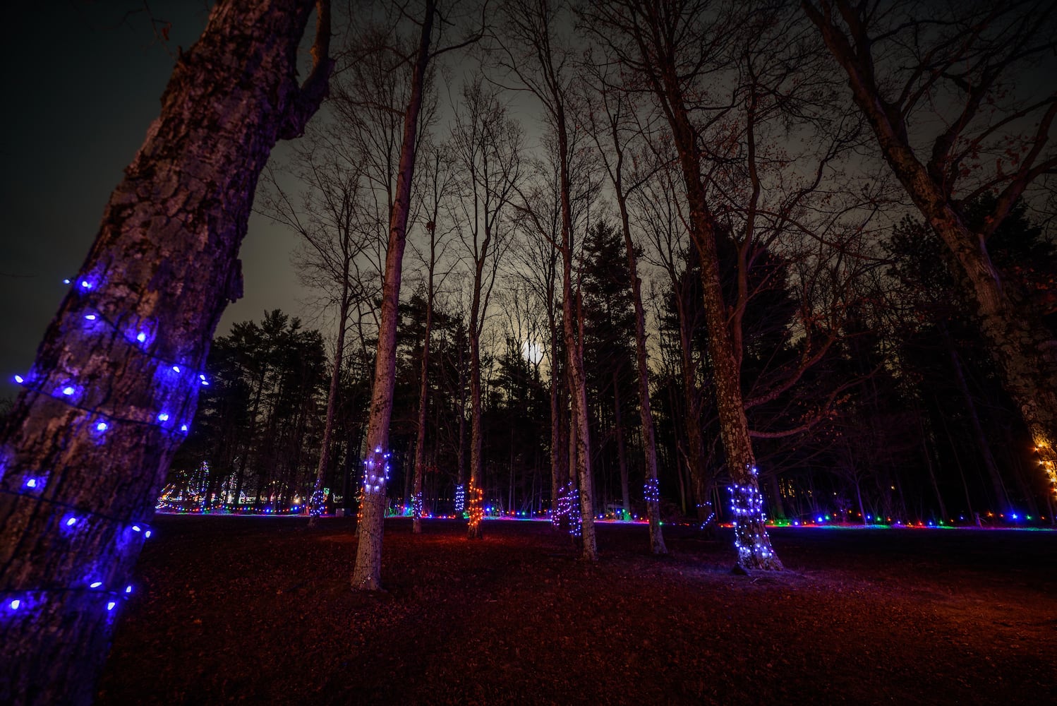 PHOTOS: Fort Saint Clair Whispering Christmas light display in Eaton