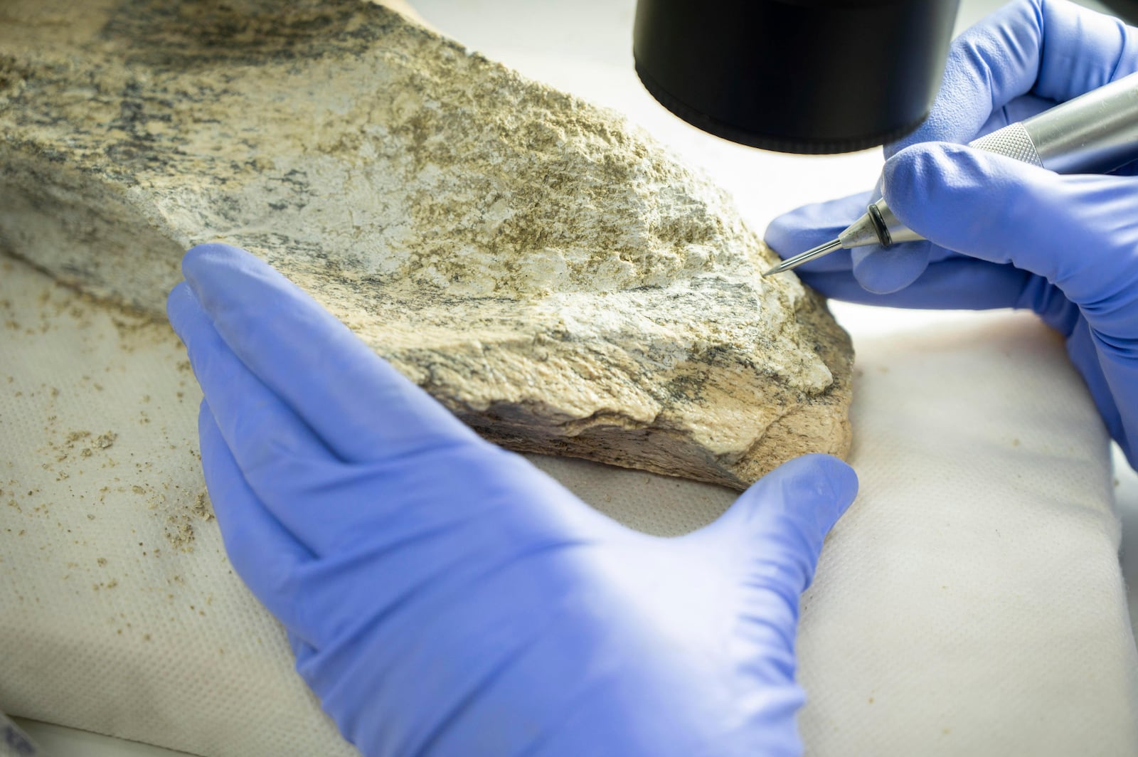 This photo provided by the Spanish National Research Council shows a bone tool found in Tanzania's Olduvai Gorge, at the CSIC-Pleistocene Archaeology Lab in Madrid in 2023. (Angeliki Theodoropoulou/CSIC via AP)