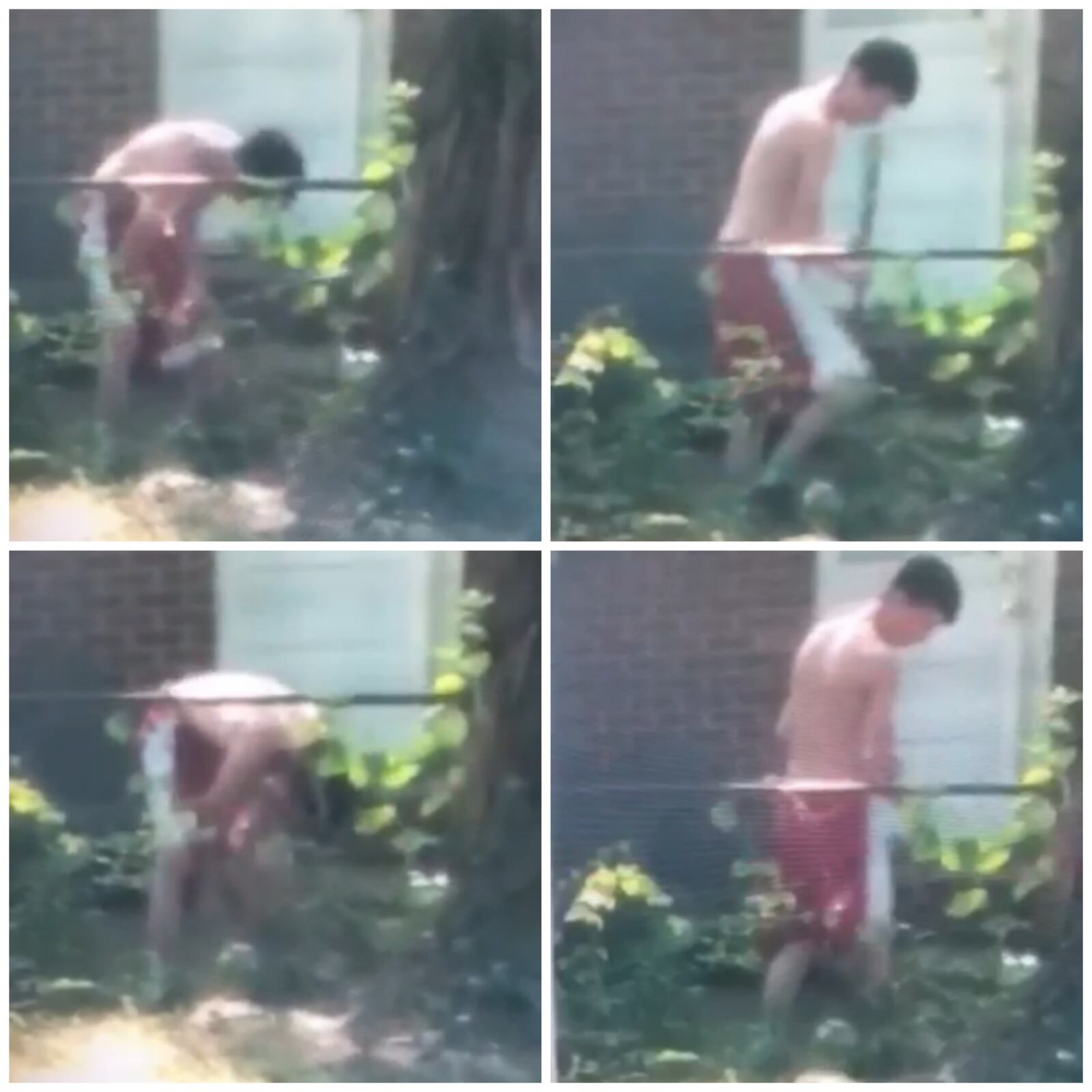 Here are screen captures of an 18-year-old allegedly beating a dog with a baseball bat. Clayton Sisco, 18, allegedly admitted he was punishing Duece, a pit bull, for defecating in the cage it was confined in, according to the Butler County Dog Waren supervisor. PROVIDED