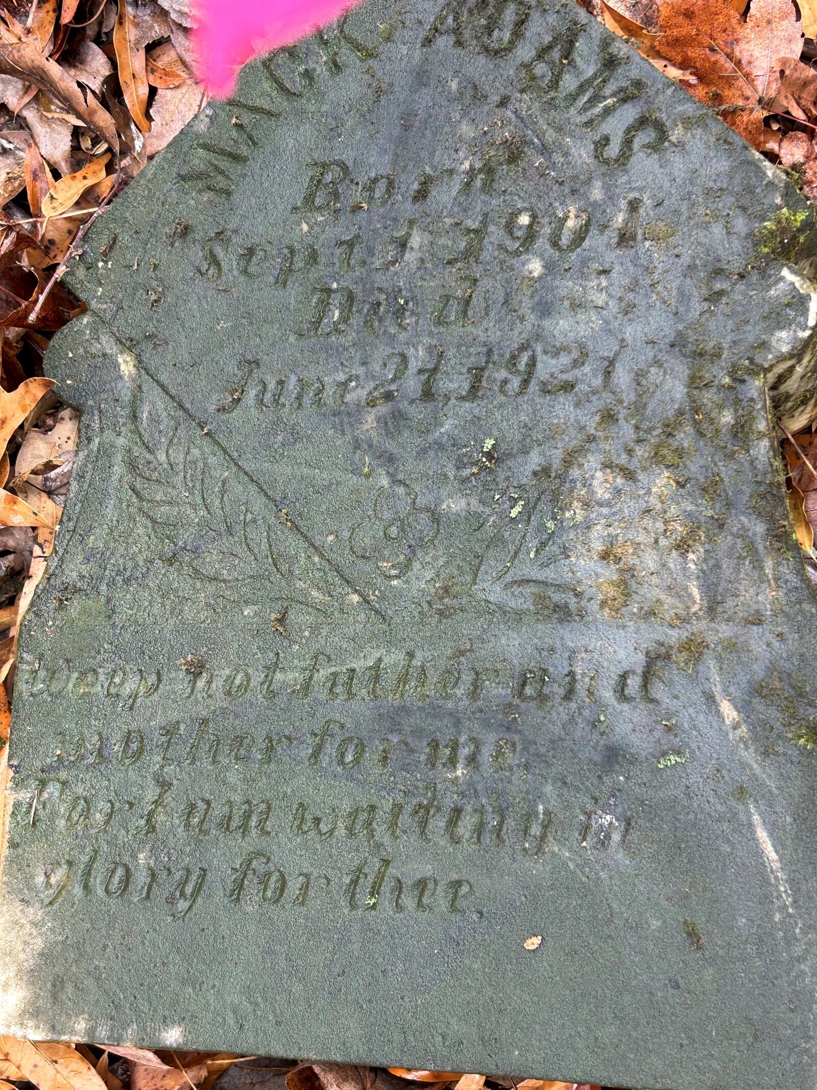 This photo provided by Jeff Bennett shows a tombstone on the Oak Hill plantation outside of Danville, Va., Dec. 10, 2024. (Jeff Bennett via AP)