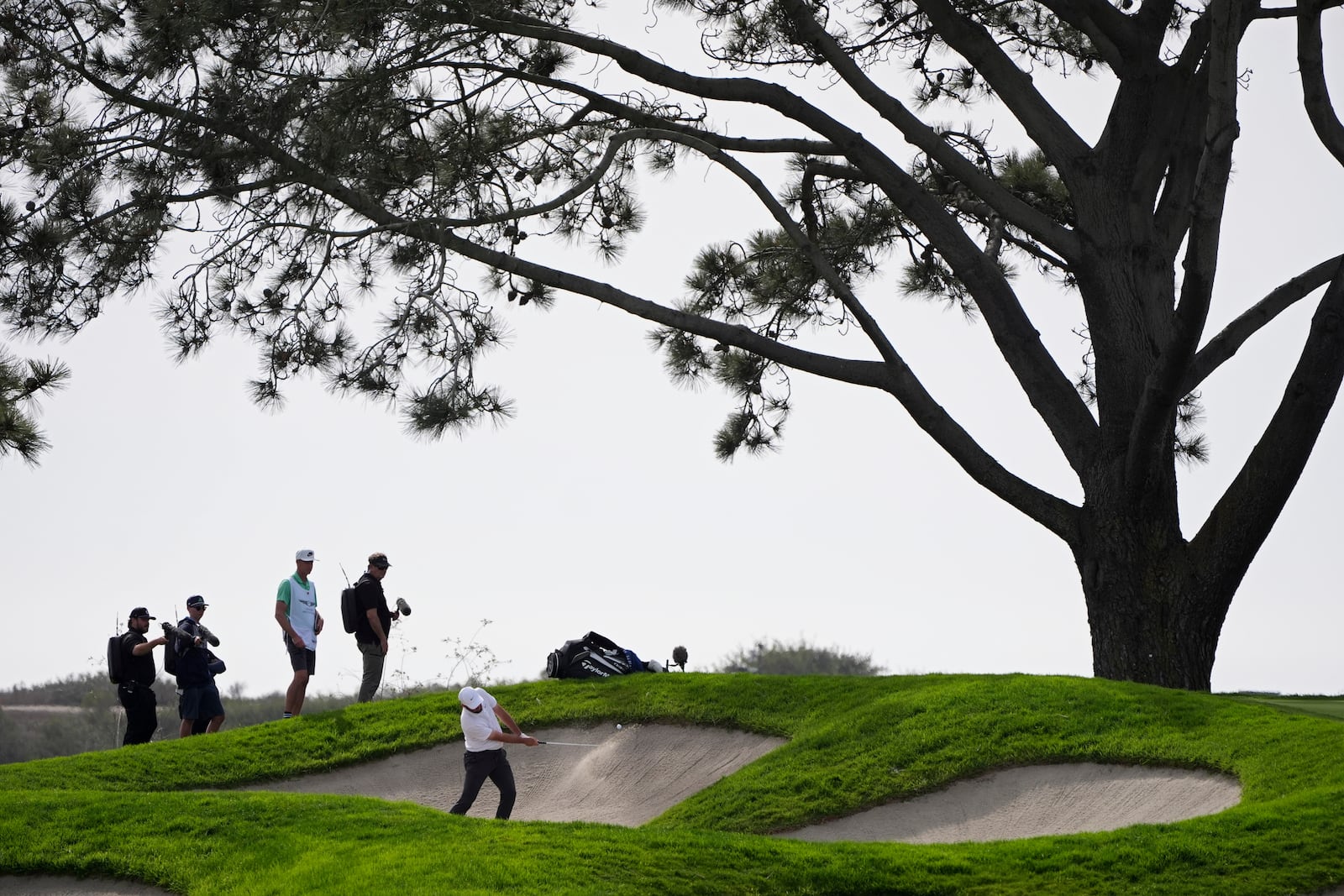 Scottie Scheffler hits out of a bunker on the 16th hole of the South Course at Torrey Pines during the final round of the Genesis Invitational golf tournament Sunday, Feb. 16, 2025, in San Diego. (AP Photo/Gregory Bull)