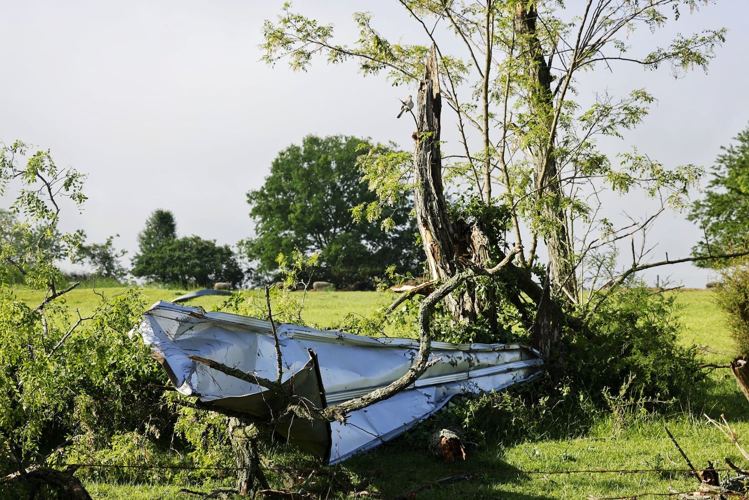 050824 storm damage