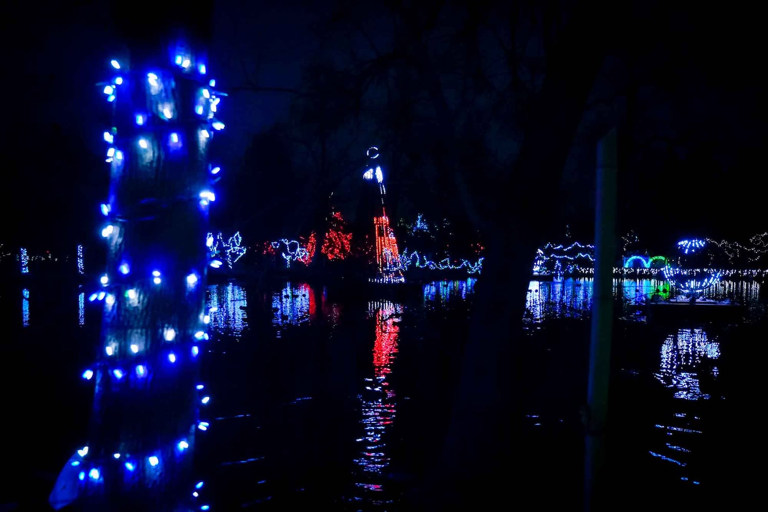 PHOTOS Cincinnati Zoo Festival of Lights 2019