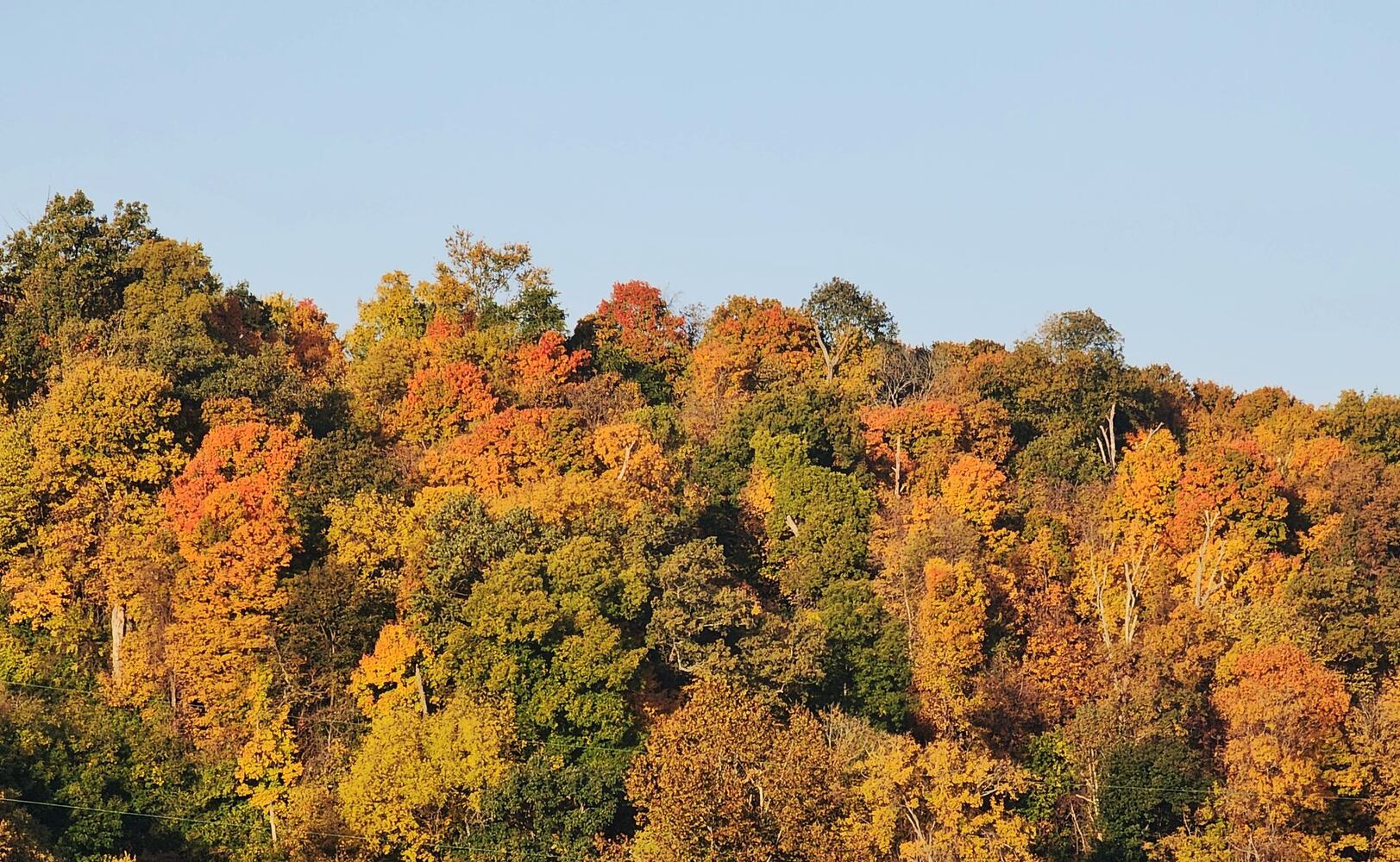 102622 fall colors Butler County