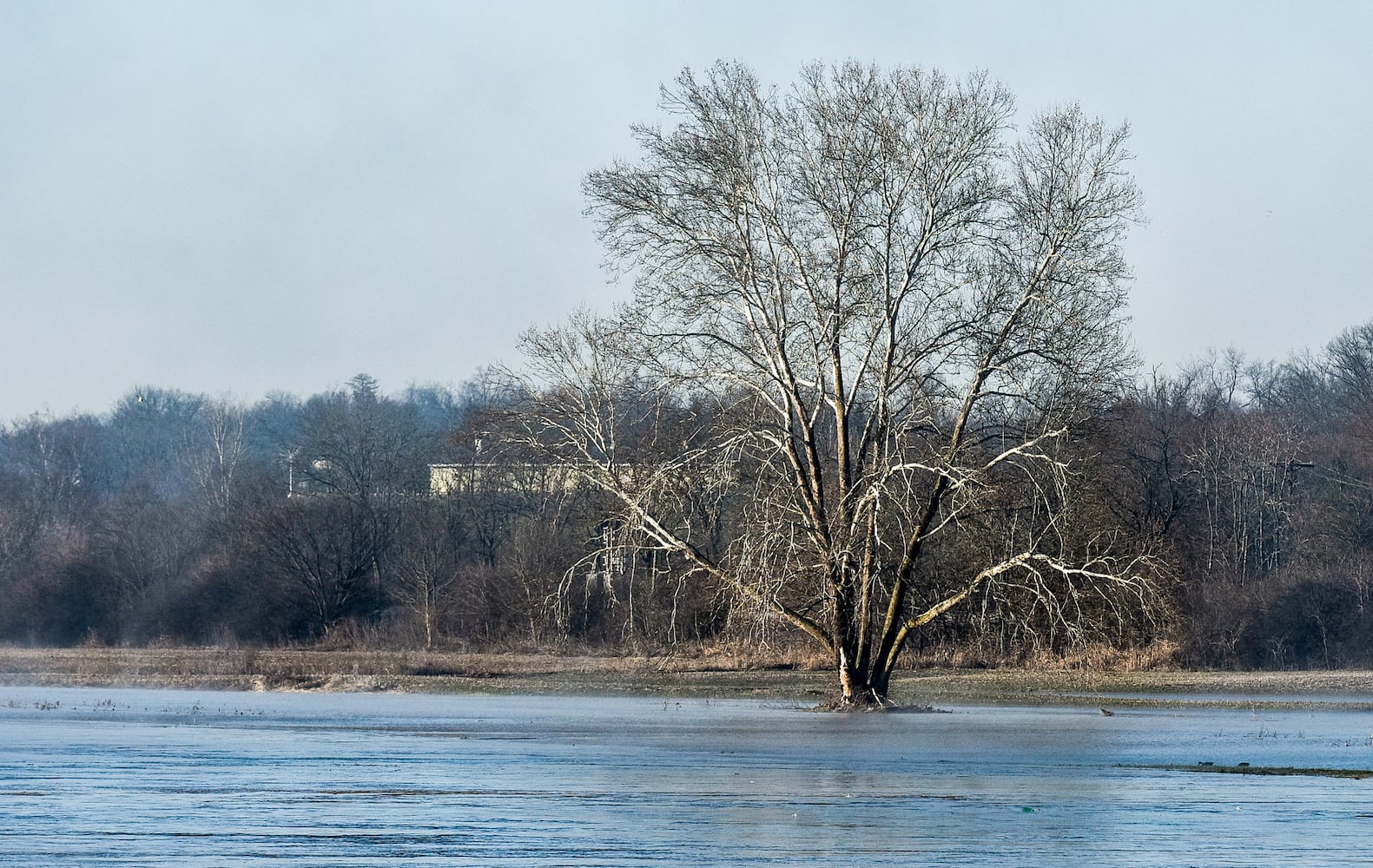 Middletown flooding