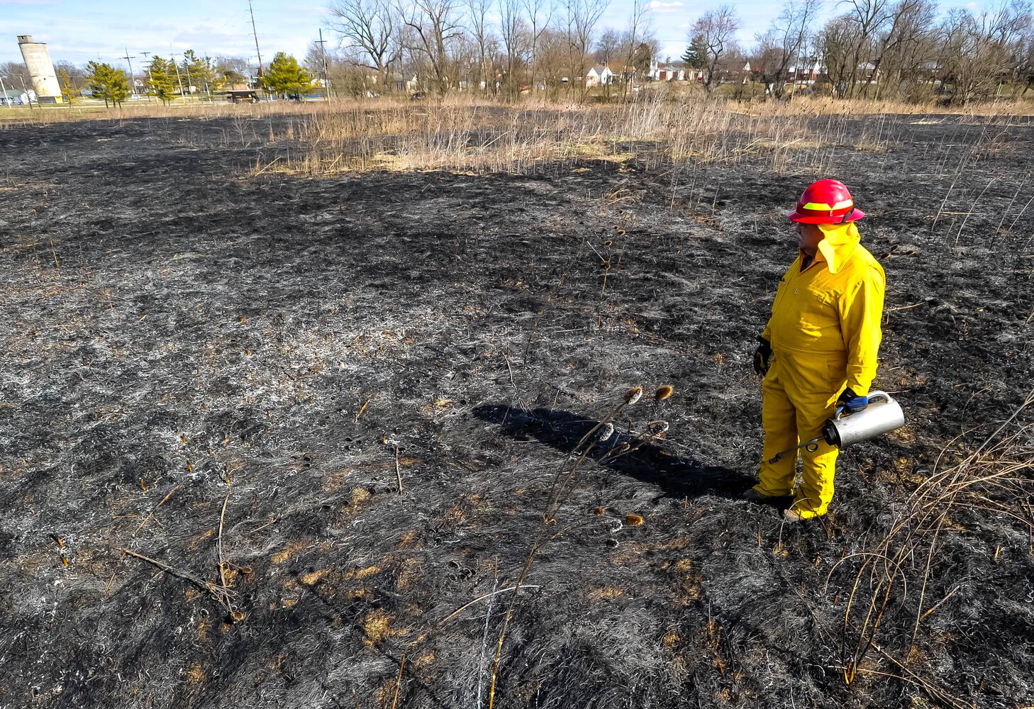 Controlled burns at Riverside Natural Area in Hamilton