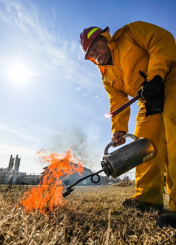 Controlled burns at Riverside Natural Area in Hamilton