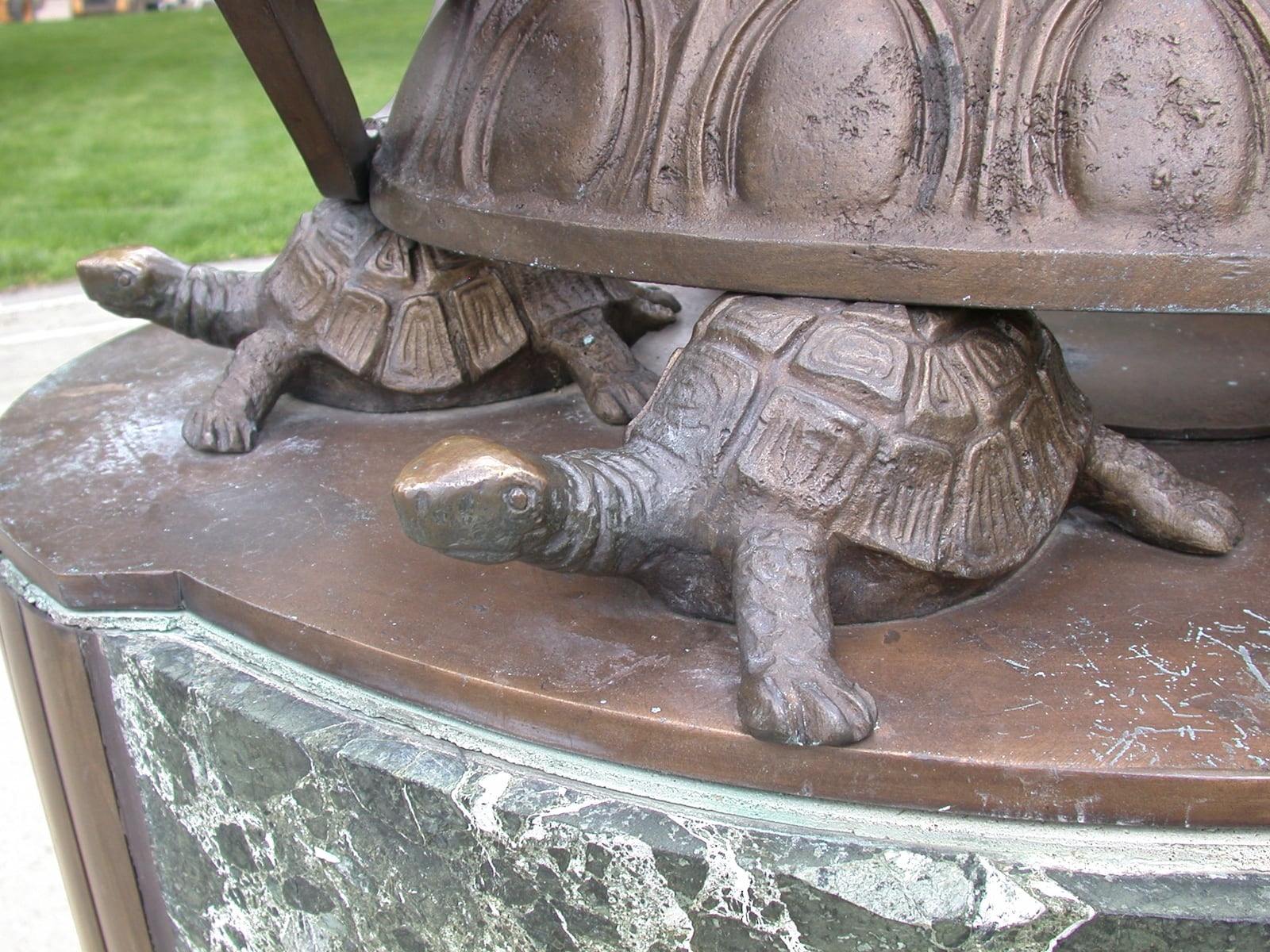 These turtles are possibly the most popular wildlife on the Miami University’s campus. Although they are not real, legend has it that rubbing their heads will bring good luck and they get a good workout at mid-term and final exam time. They are part of the base of Tri-Delt Sundial located in Central Quad. 