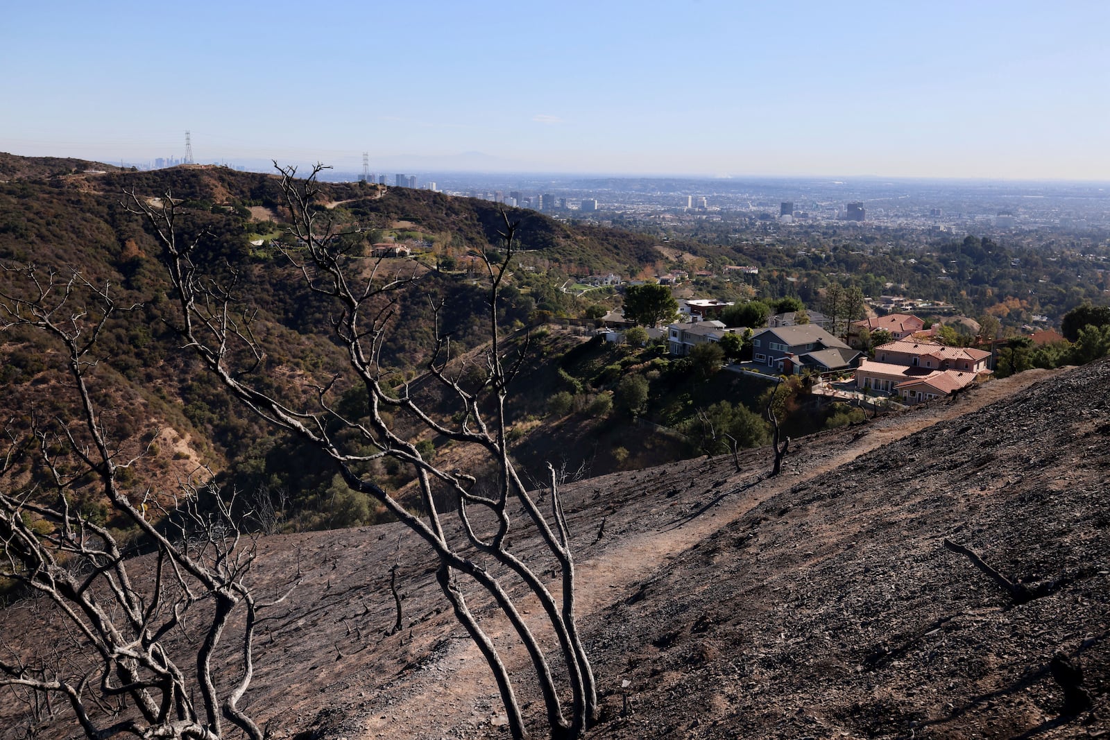 A burned hillside is seen in the aftermath of the Palisades Fire in Mandeville Canyon Tuesday, Jan. 14, 2025, in Los Angeles. (AP Photo/Ethan Swope)