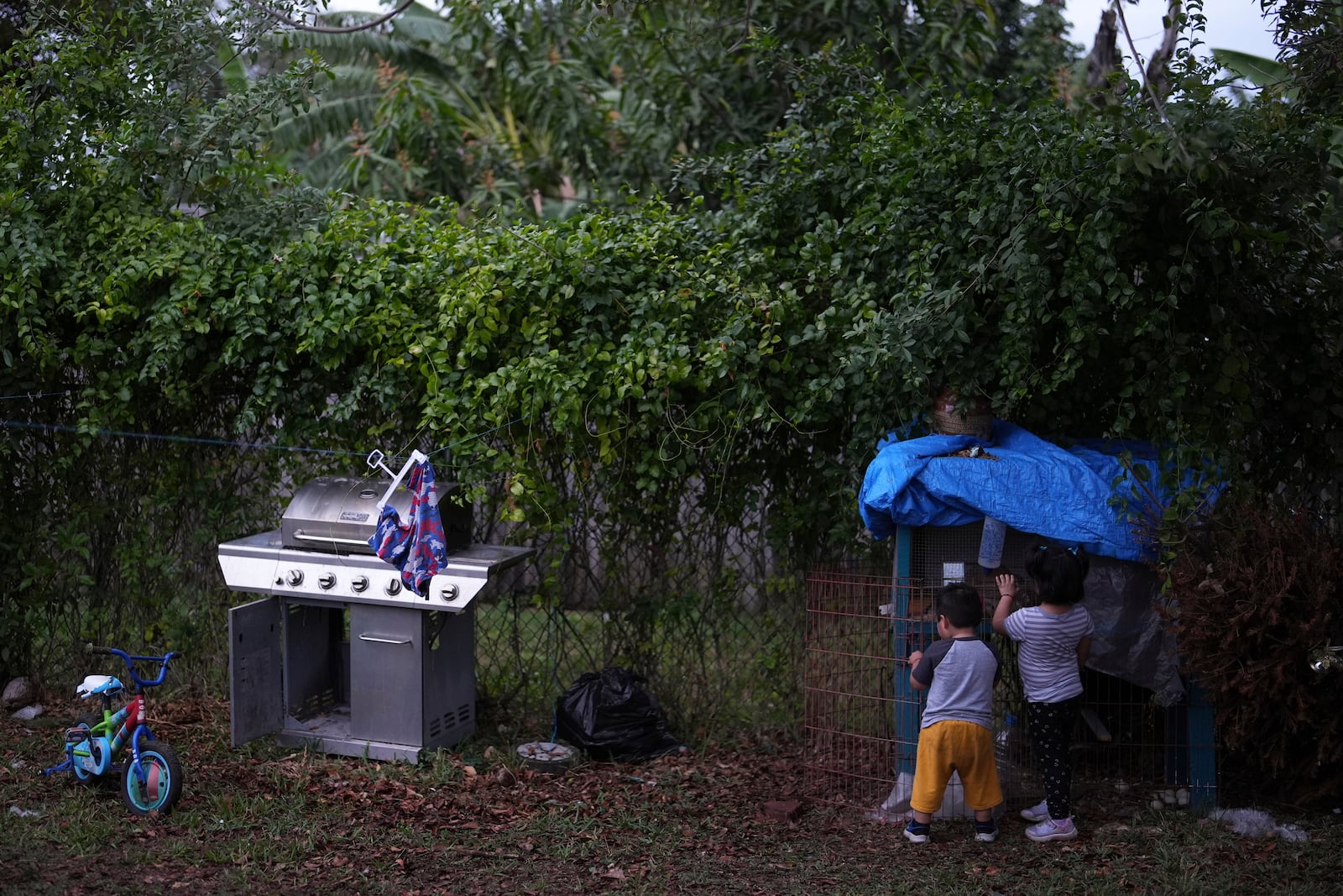 U.S.-born children play in a backyard as their mothers, who are in the country illegally, meet with Nora Sandigo, who runs a non-profit dedicated to supporting immigrant families, to learn about their legal rights and options to prepare their families in case a parent were to be detained or deported, Friday, Jan. 17, 2025, in Homestead, Fla. (AP Photo/Rebecca Blackwell)