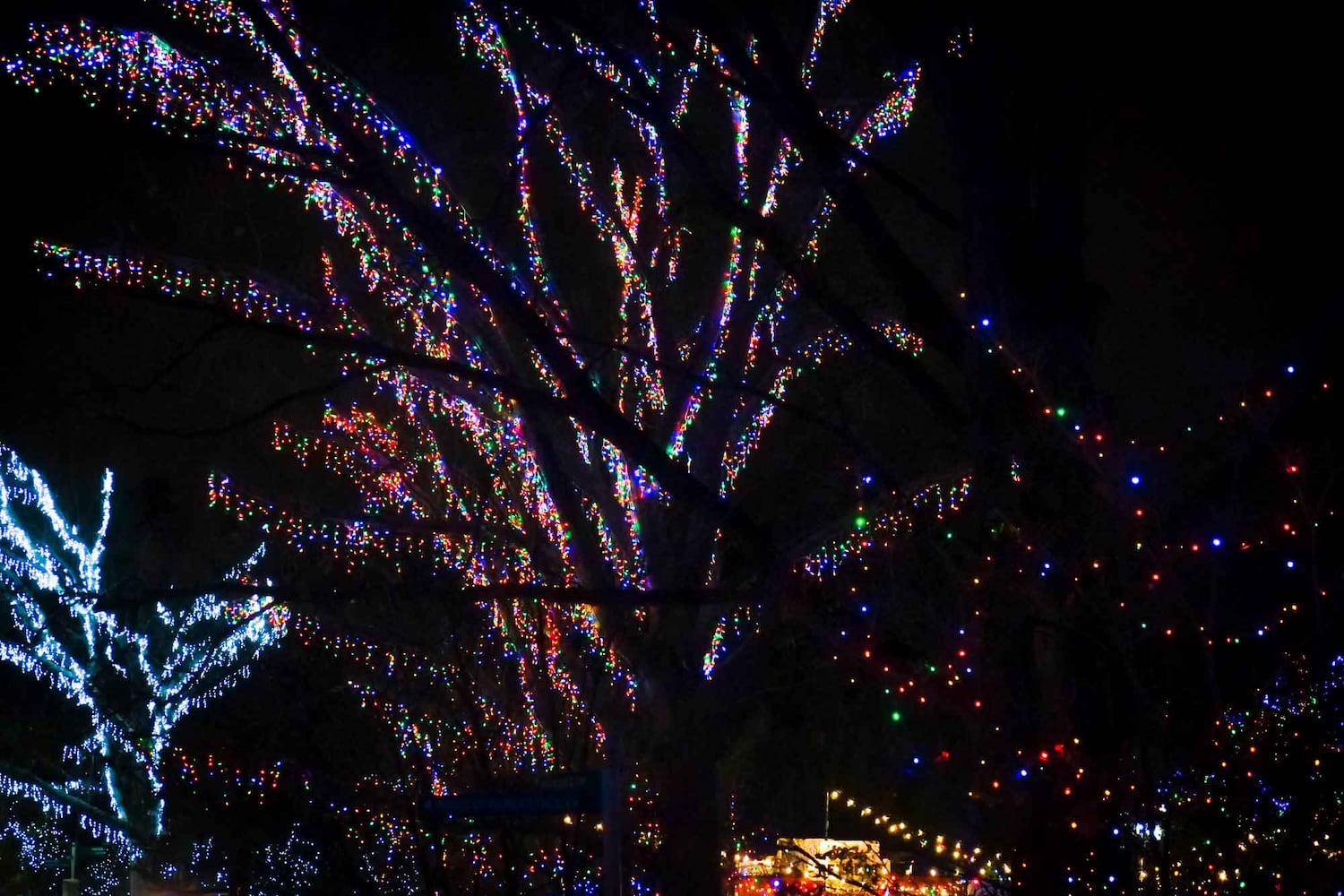 PHOTOS Cincinnati Zoo Festival of Lights 2019